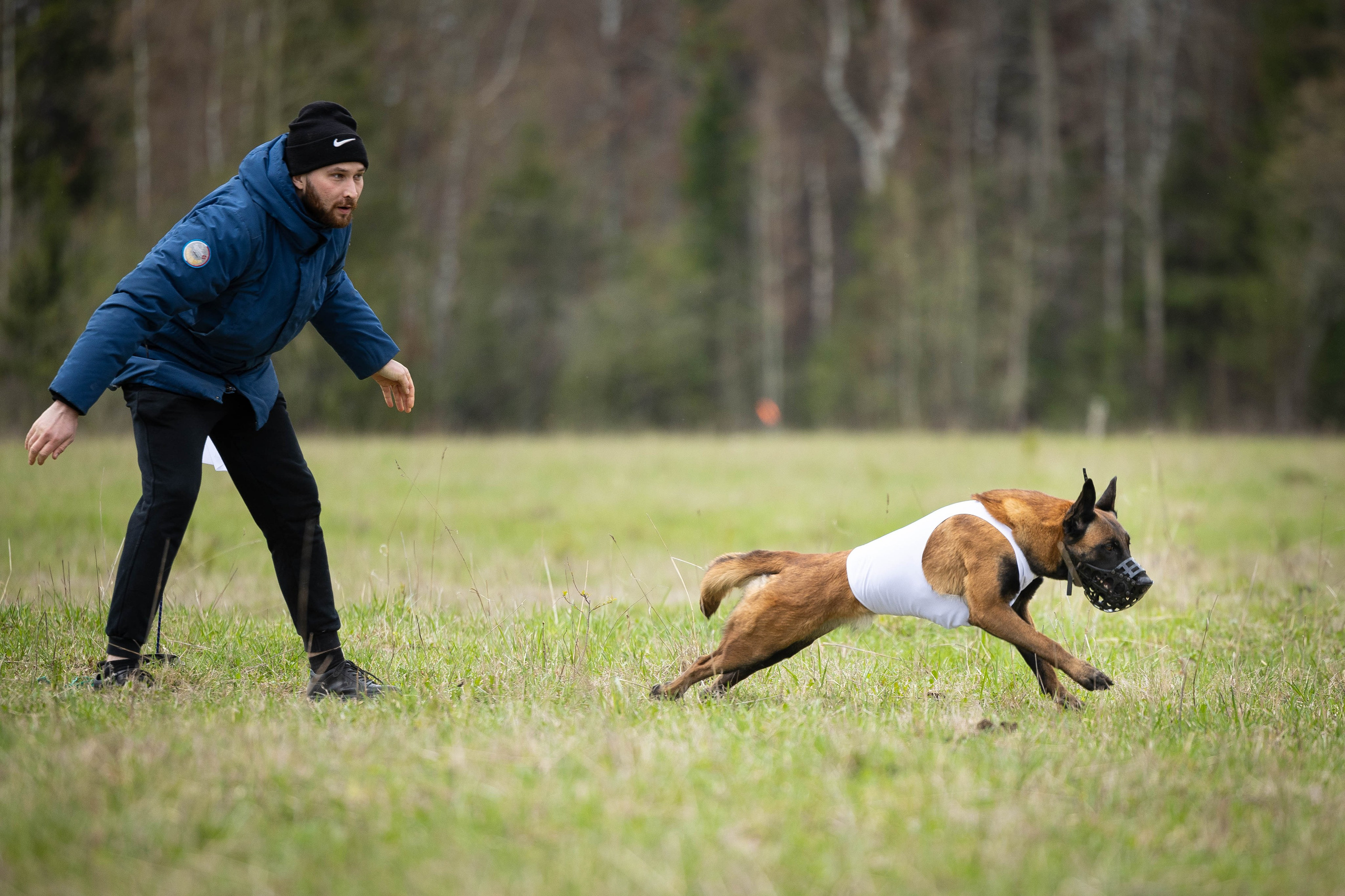 Курсинг. Фотограф Анималист в Перми Анастасия Остерман