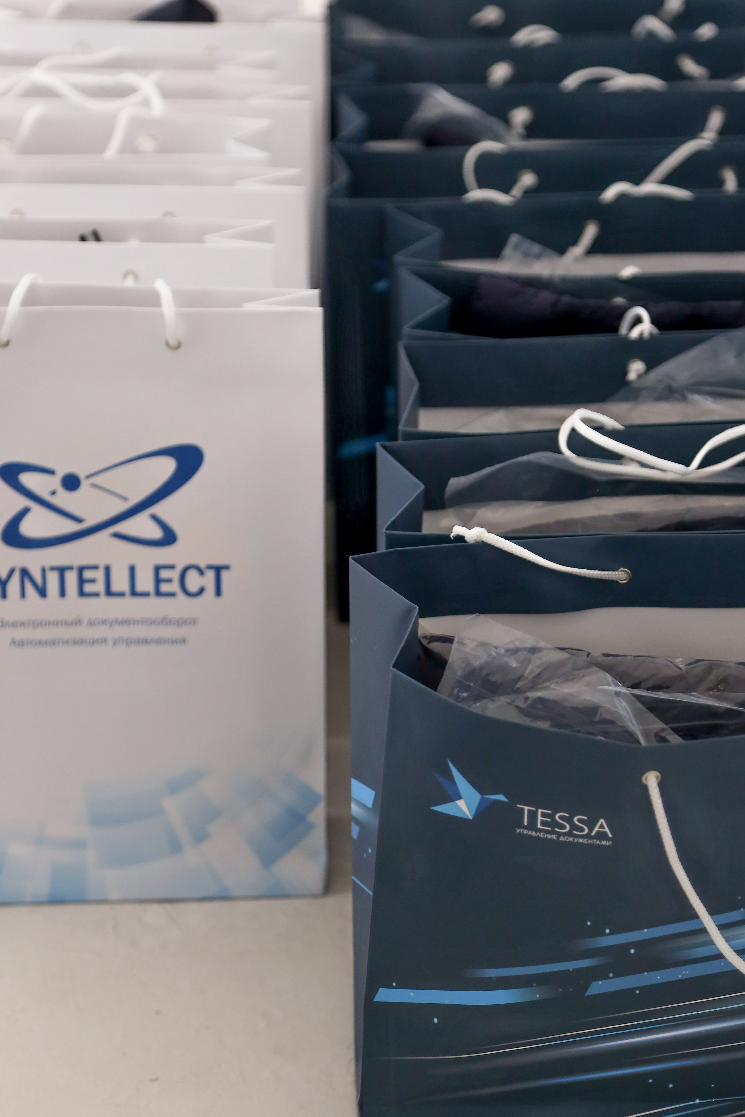 Tessa. Фотограф Антон Чупринин