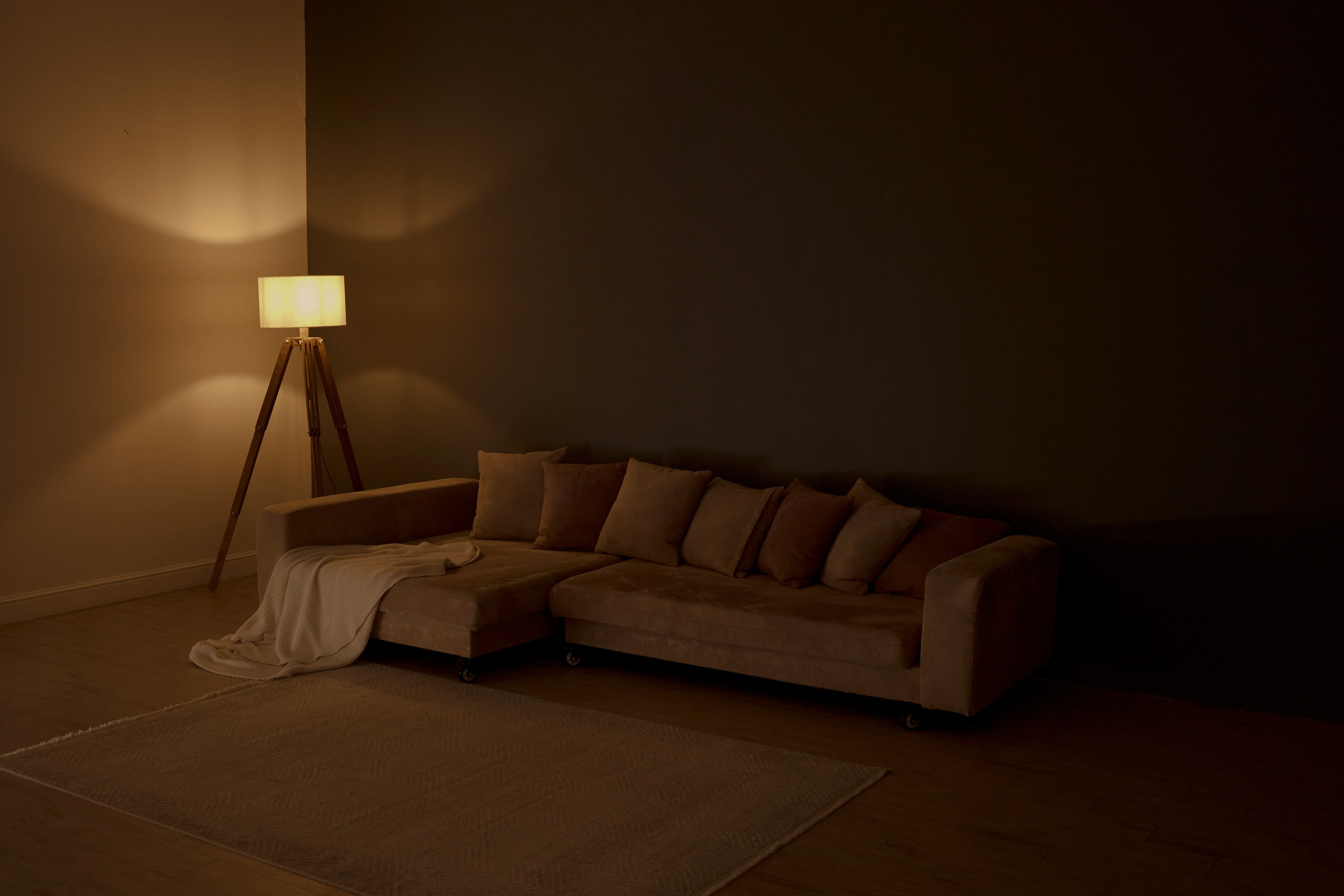 Фотостудия «Леона» Зал Скандинавия. Свадебный фотограф в Ростове Александра Груздева