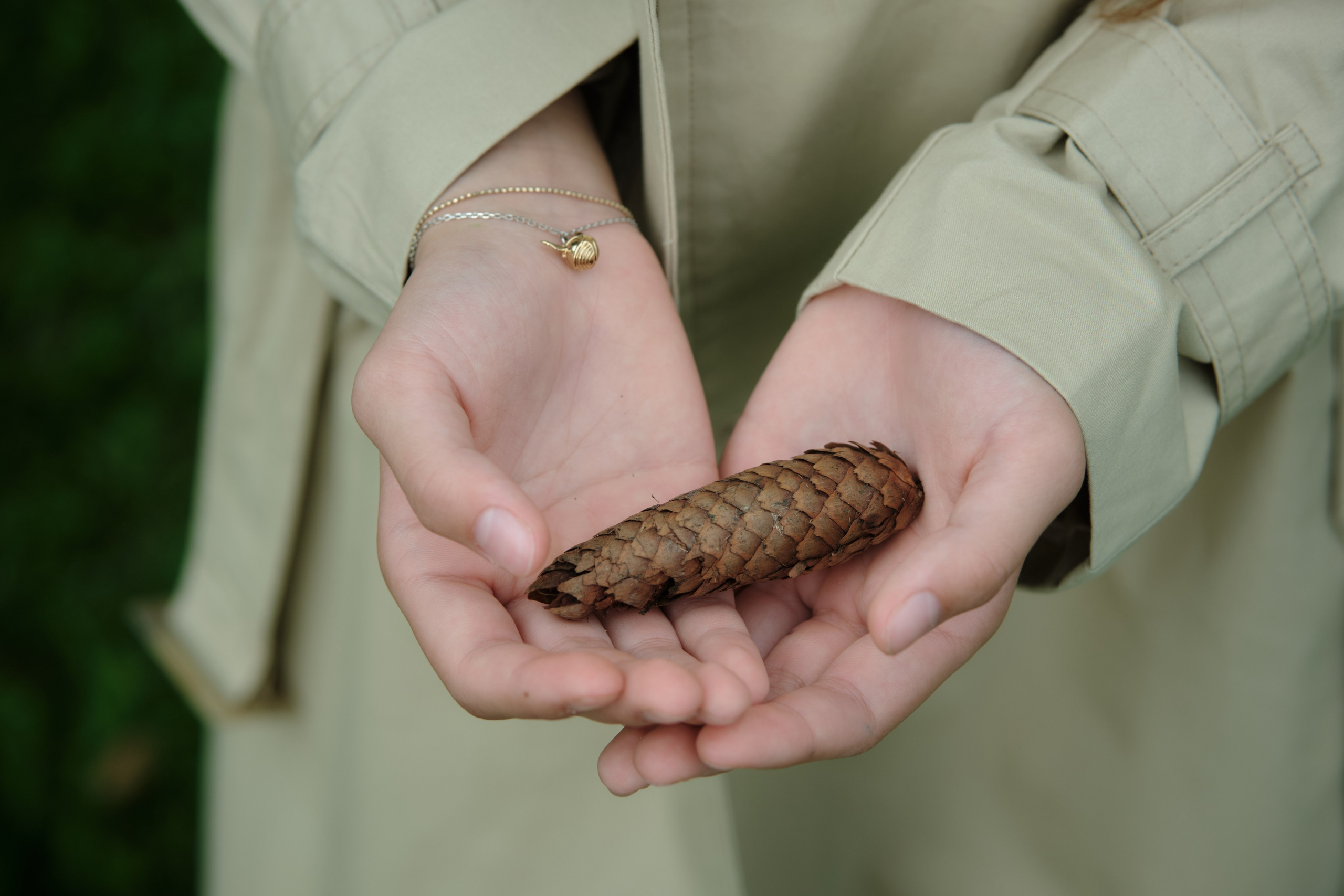 Варя. Главная