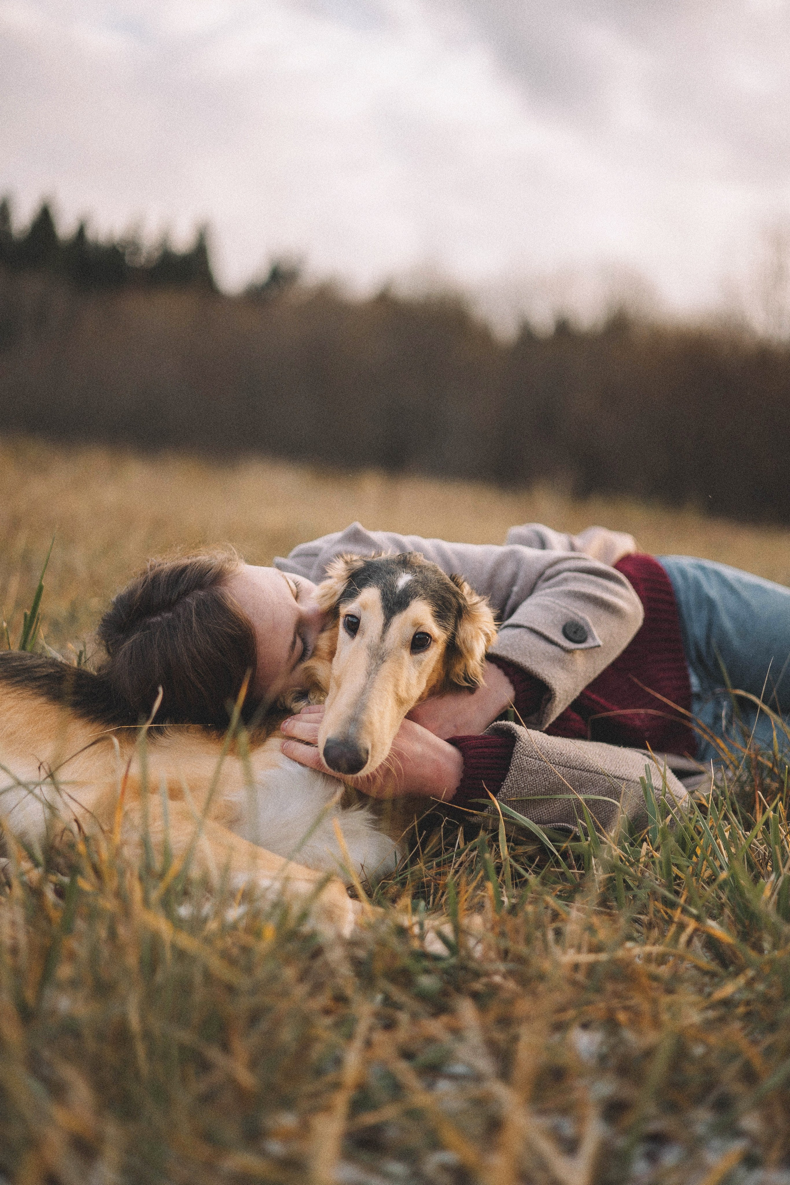 Алена, Леви и Микаса. Фотограф-анималист Богданова Полина