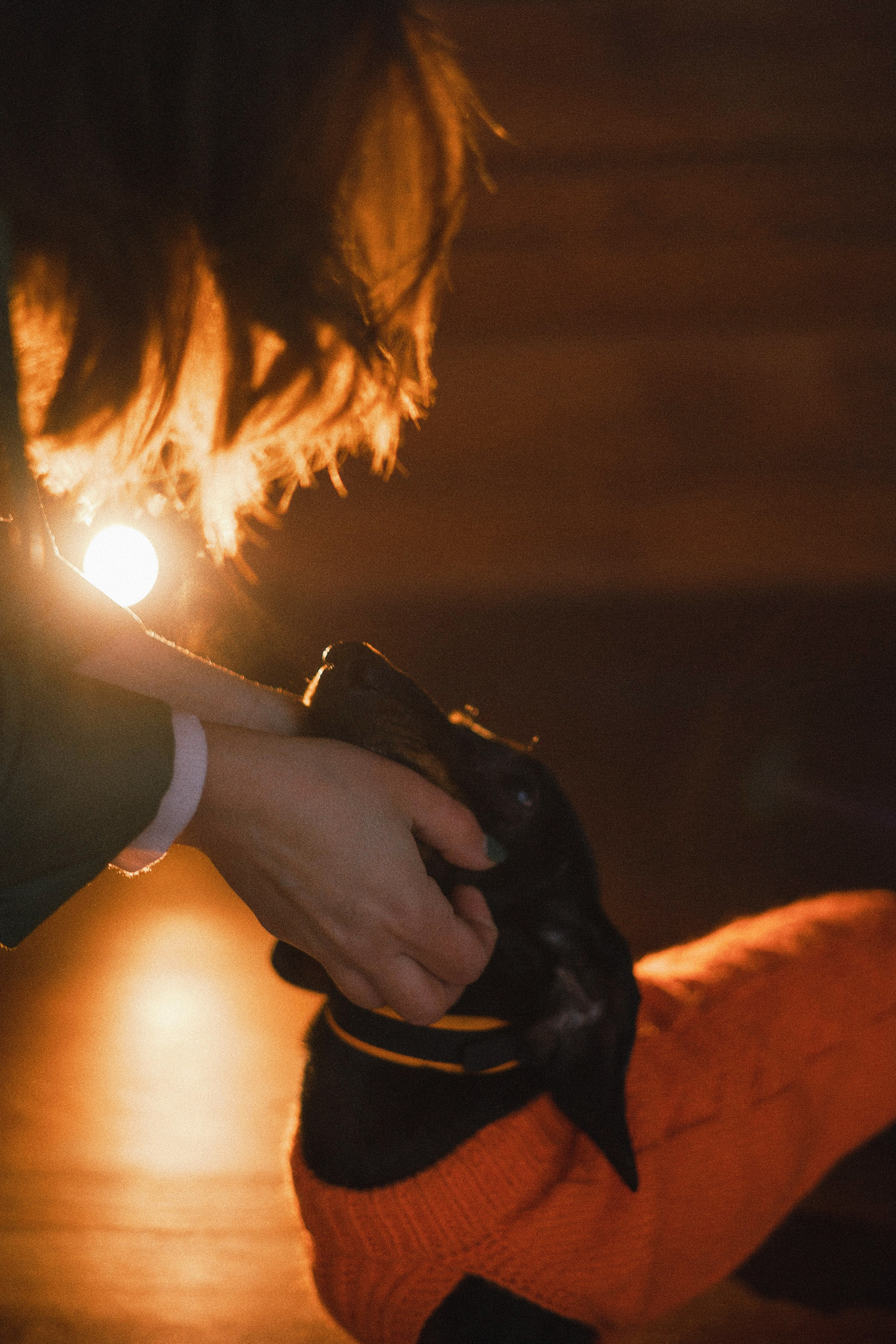 Маша, Рэм и Ньютон. Фотограф-анималист Богданова Полина