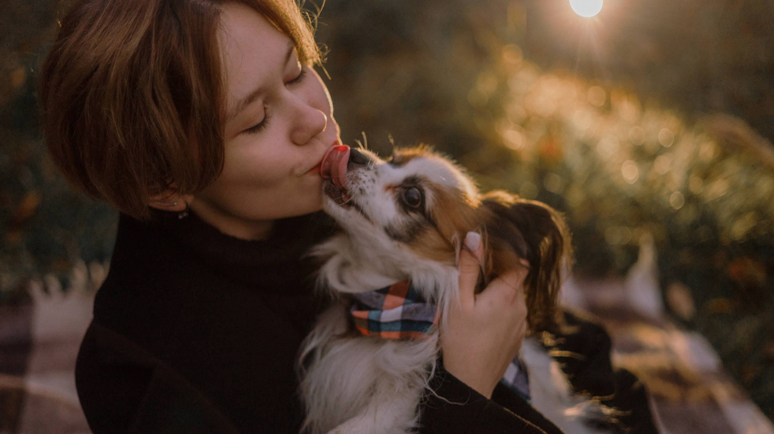 Маша, Катя, Астрид и Мася. Фотограф-анималист Богданова Полина