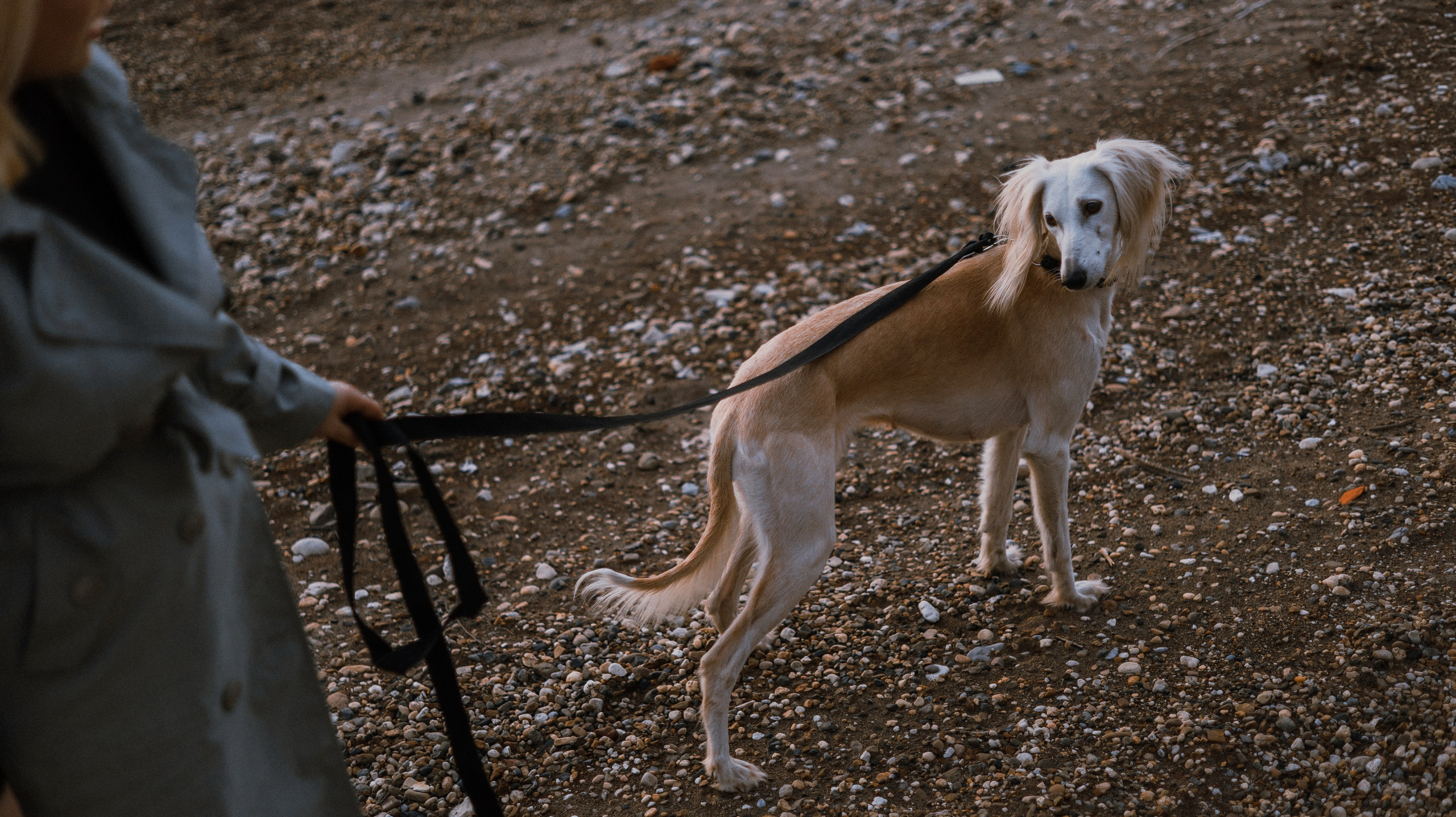 Настя и Бейда. Фотограф-анималист Богданова Полина