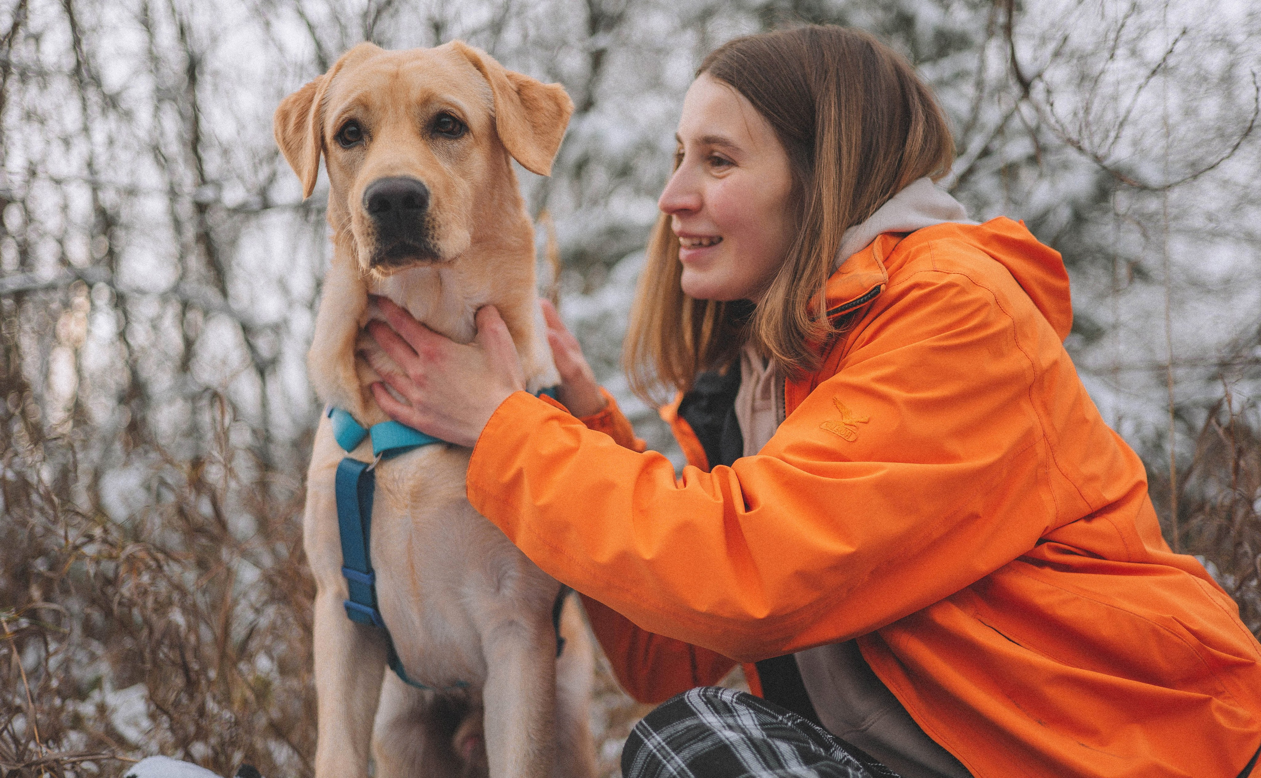 Маргарита и Варди. Фотограф-анималист Богданова Полина