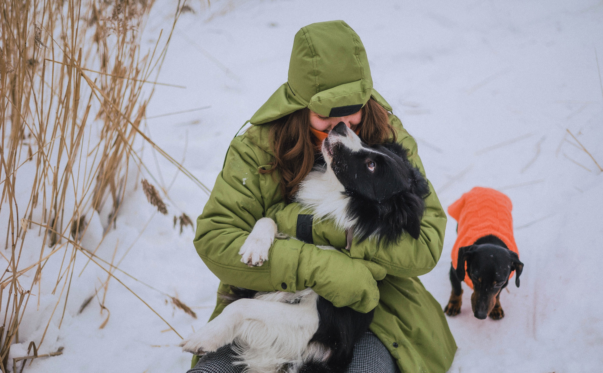 Маша, Рэм и Ньютон. Фотограф-анималист Богданова Полина