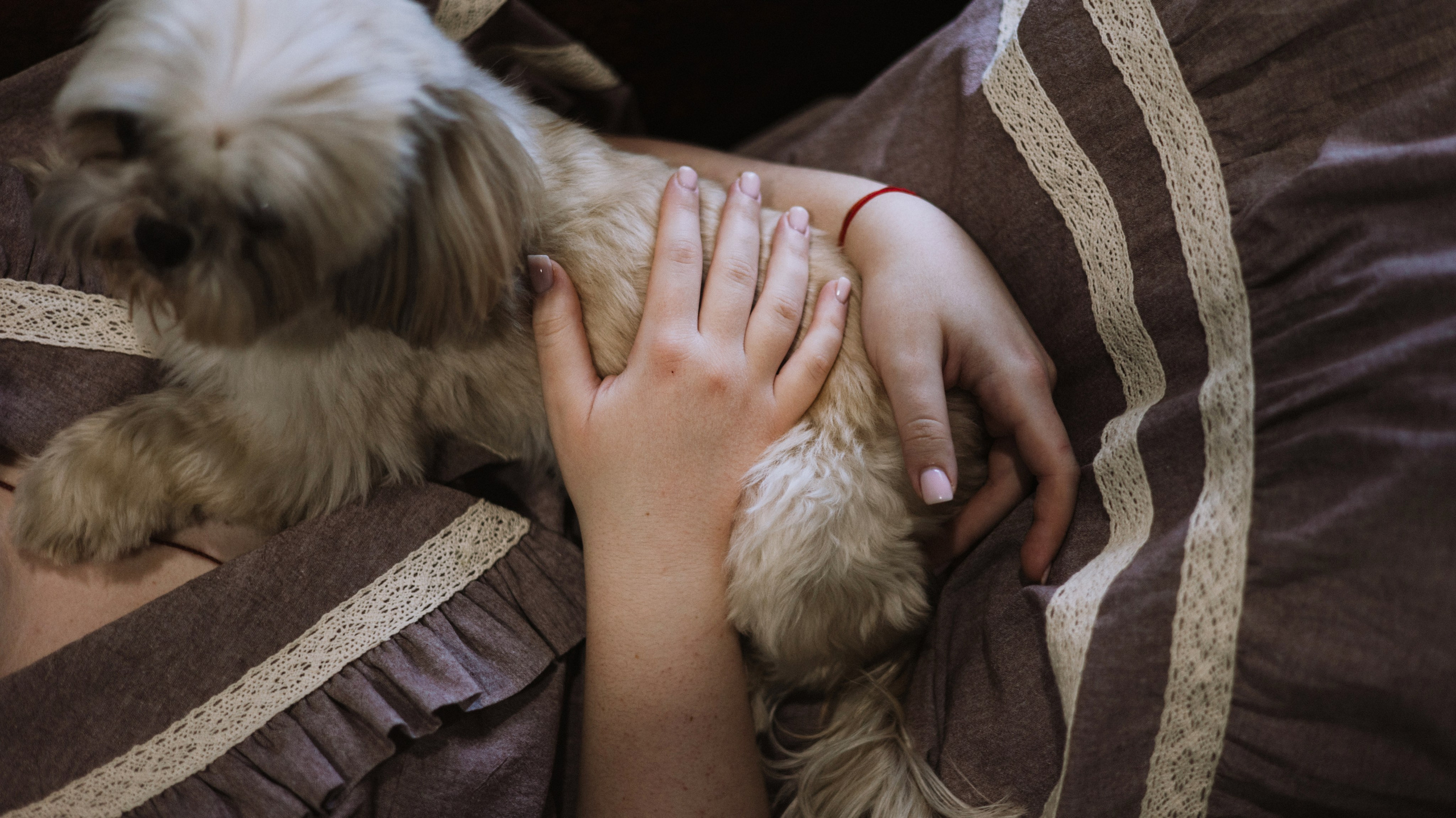 Ирина и Винни. Фотограф-анималист Богданова Полина