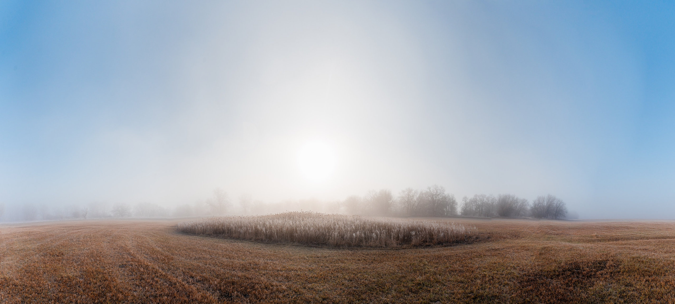 Фотографии утреннего тумана под Волжским. Фотограф в Волгограде и Волжском Александр Горбань