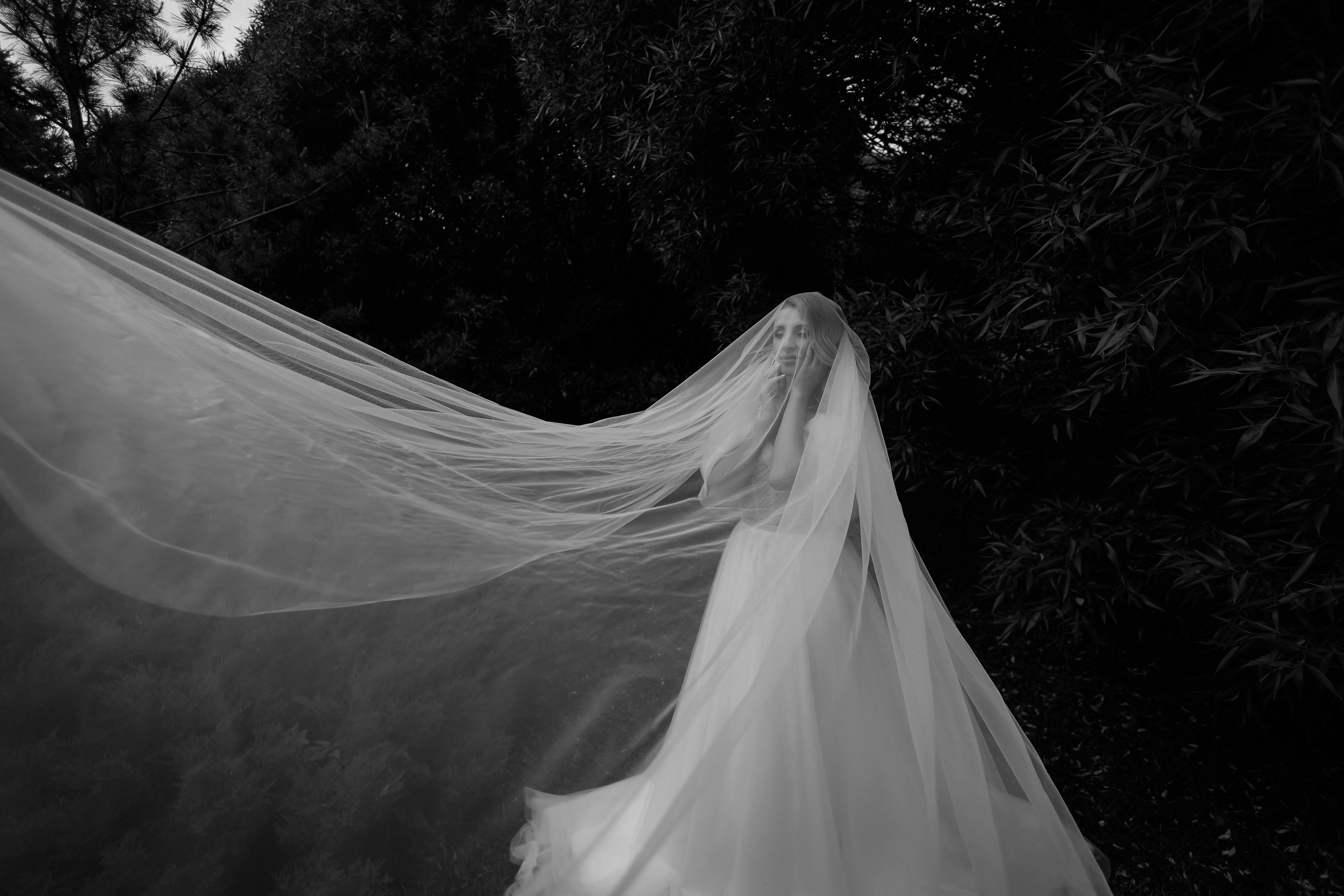 Яков и Валерия. Свадебный фотограф в Омске Яна Савина