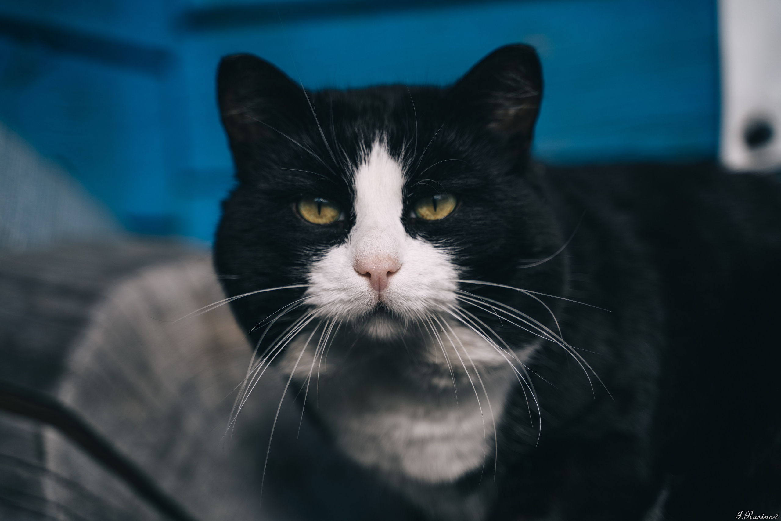 ХИБИНЫ 2021 г. Event фотограф Степанова Александра