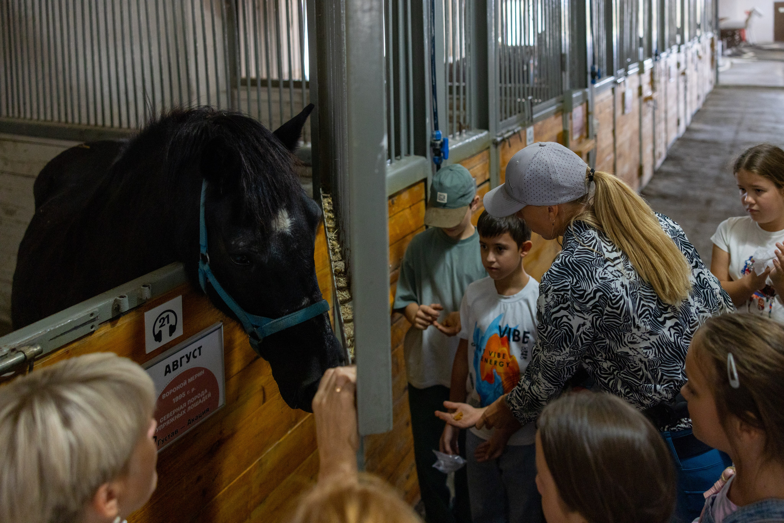 Поездка на поле Кулеково. Фотограф в Туле Крупский АнДРей. Фотостудия «КАДР71» в Туле