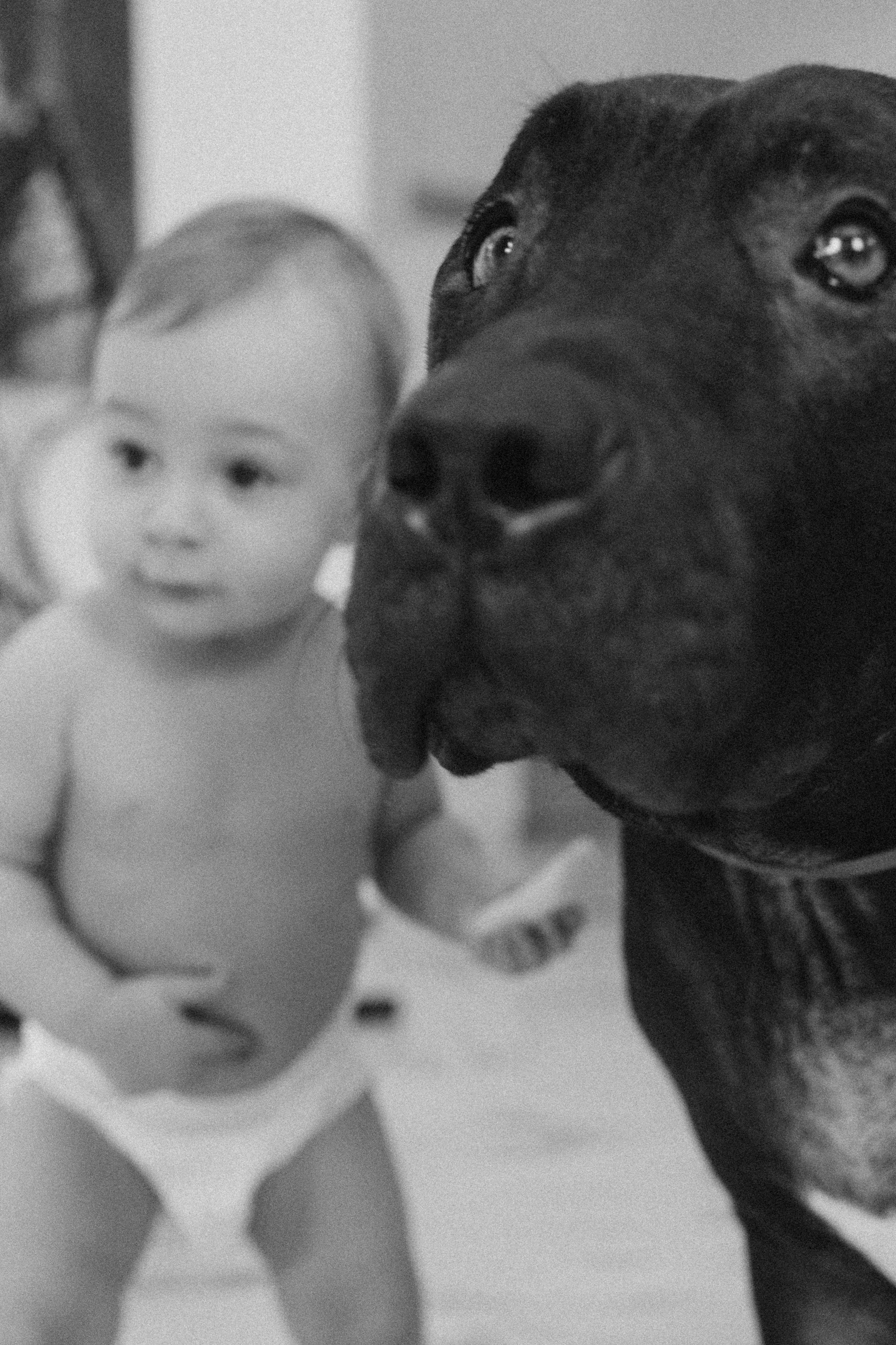 Дома. Фотограф из Петербурга