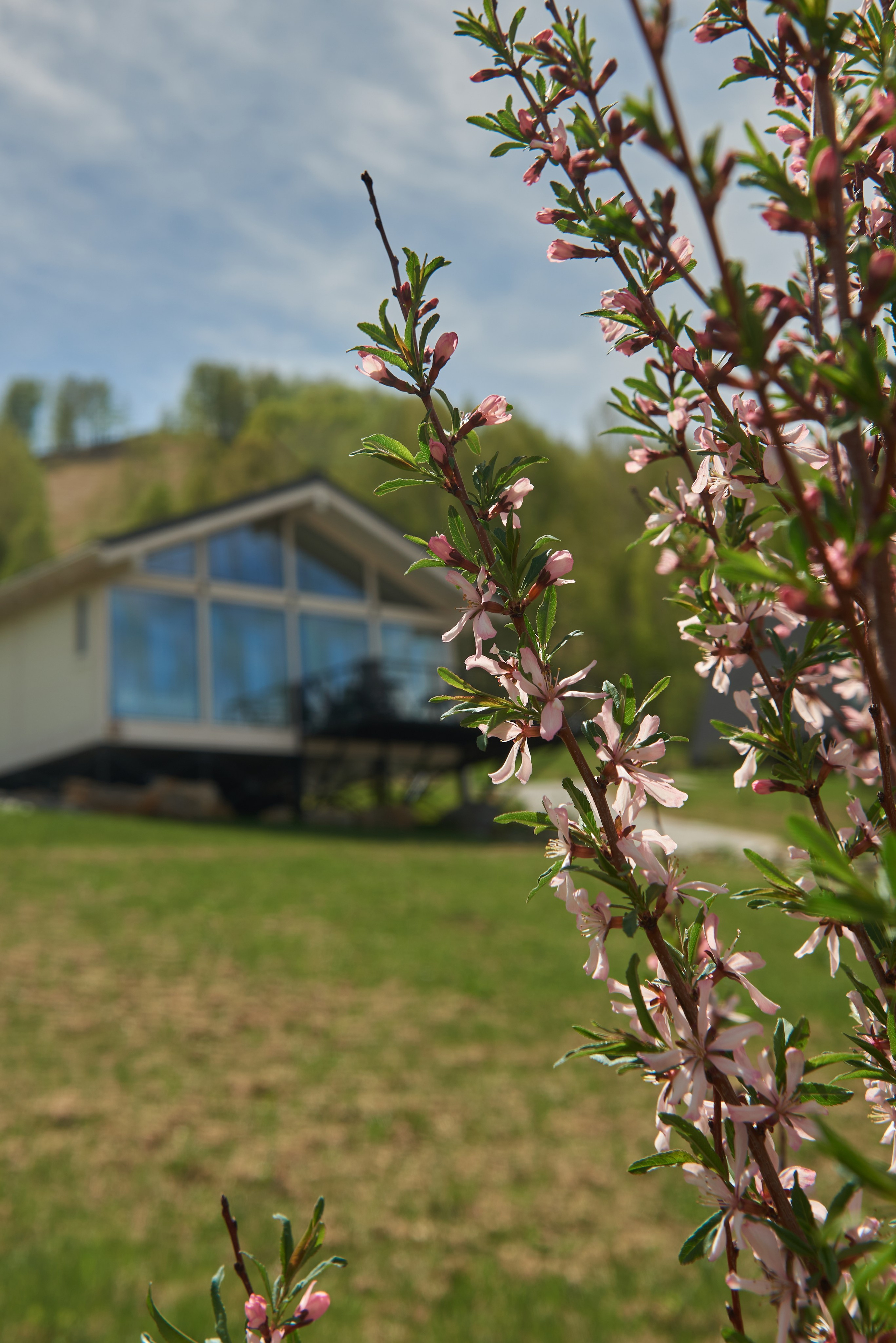 Портфолио. Rey Stanislav — репортажный и рекламный фотограф в Новокузнецке