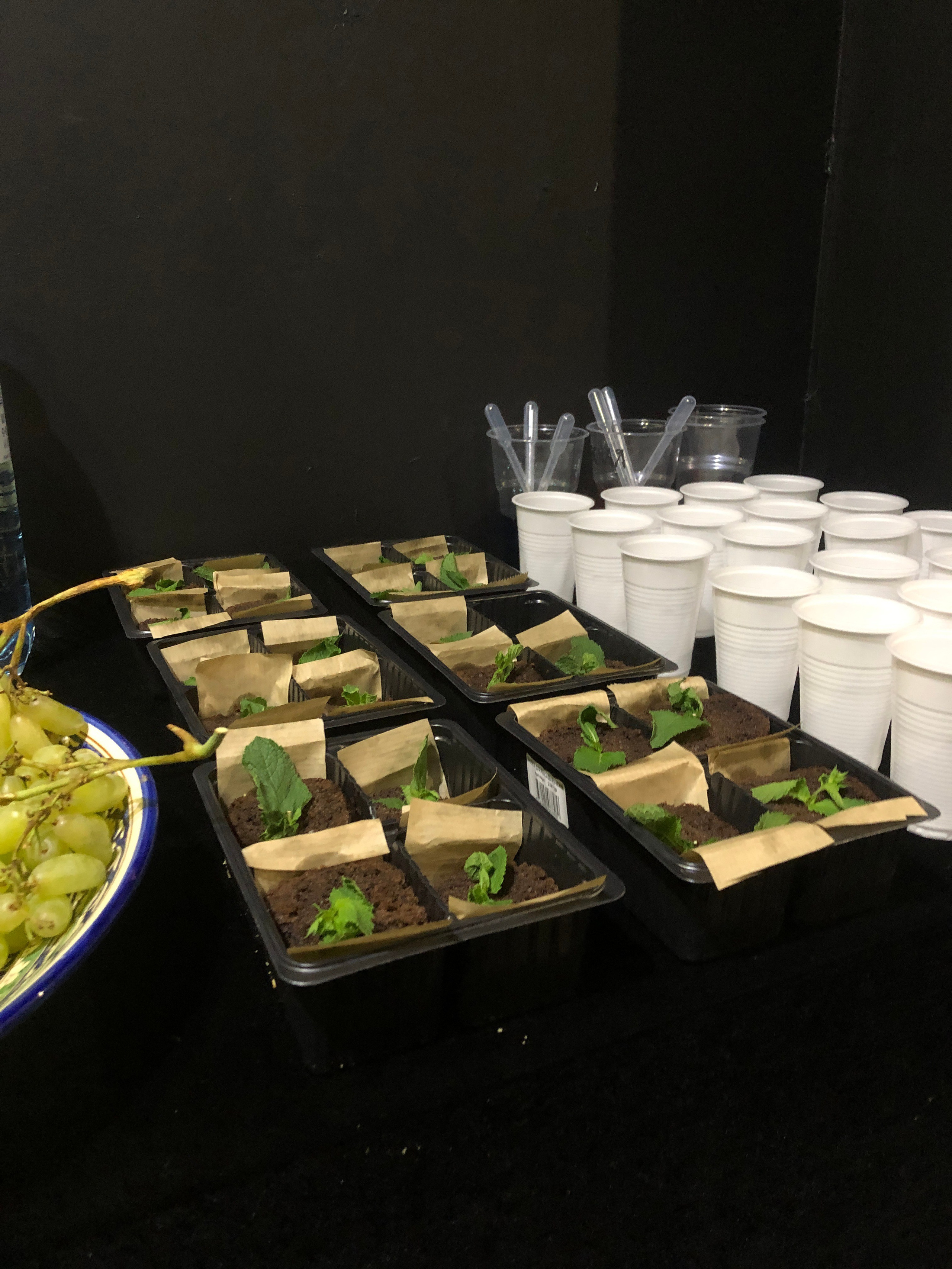 «Трактат о Корчевателе». Современная художница Елена Алексеева (Alpha_Vita)