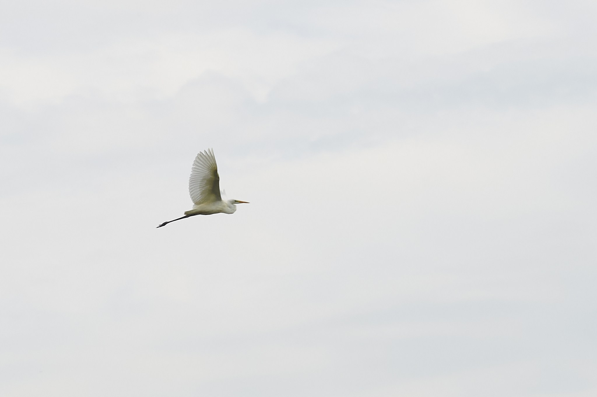 Заповедные уголки Земли: обитатели дикой природы. Координаты красоты — география в фокусе