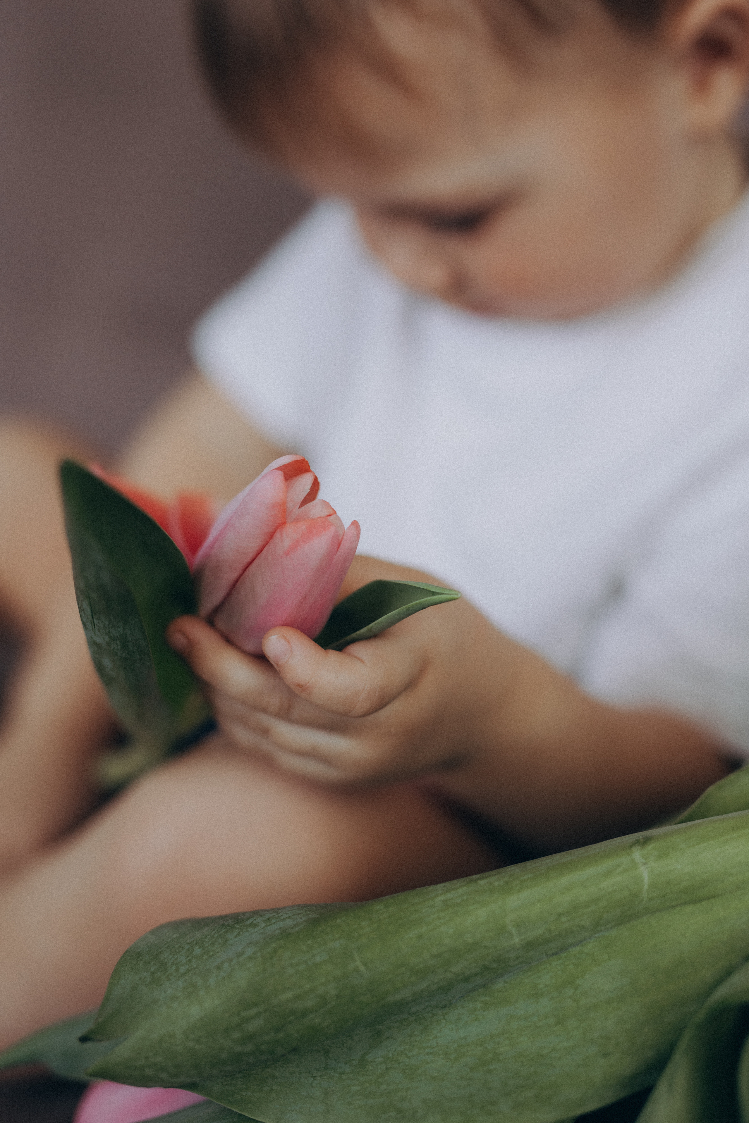 Беременность. Семейный фотограф Обнинск
