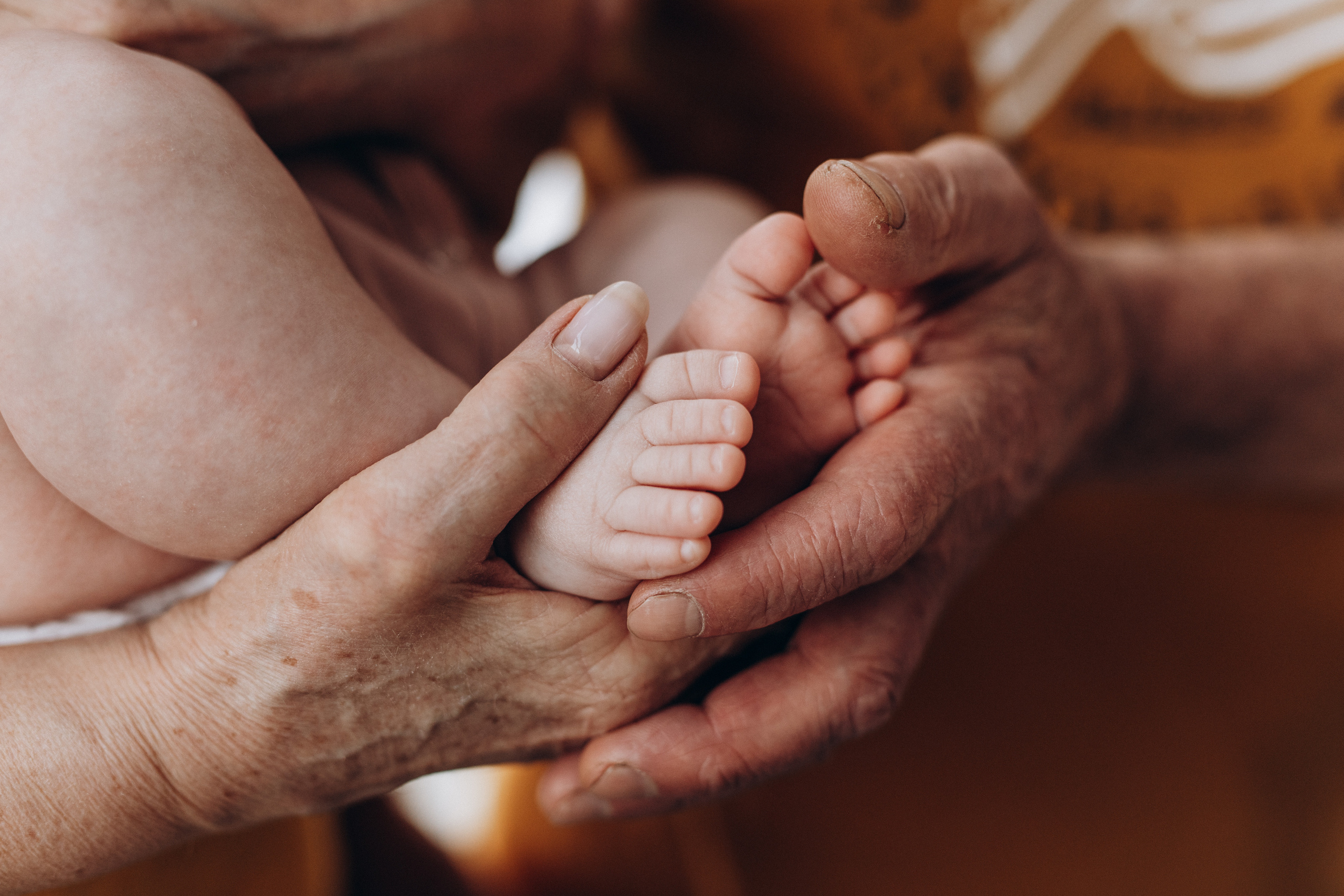 Рождество. Семейный фотограф Обнинск