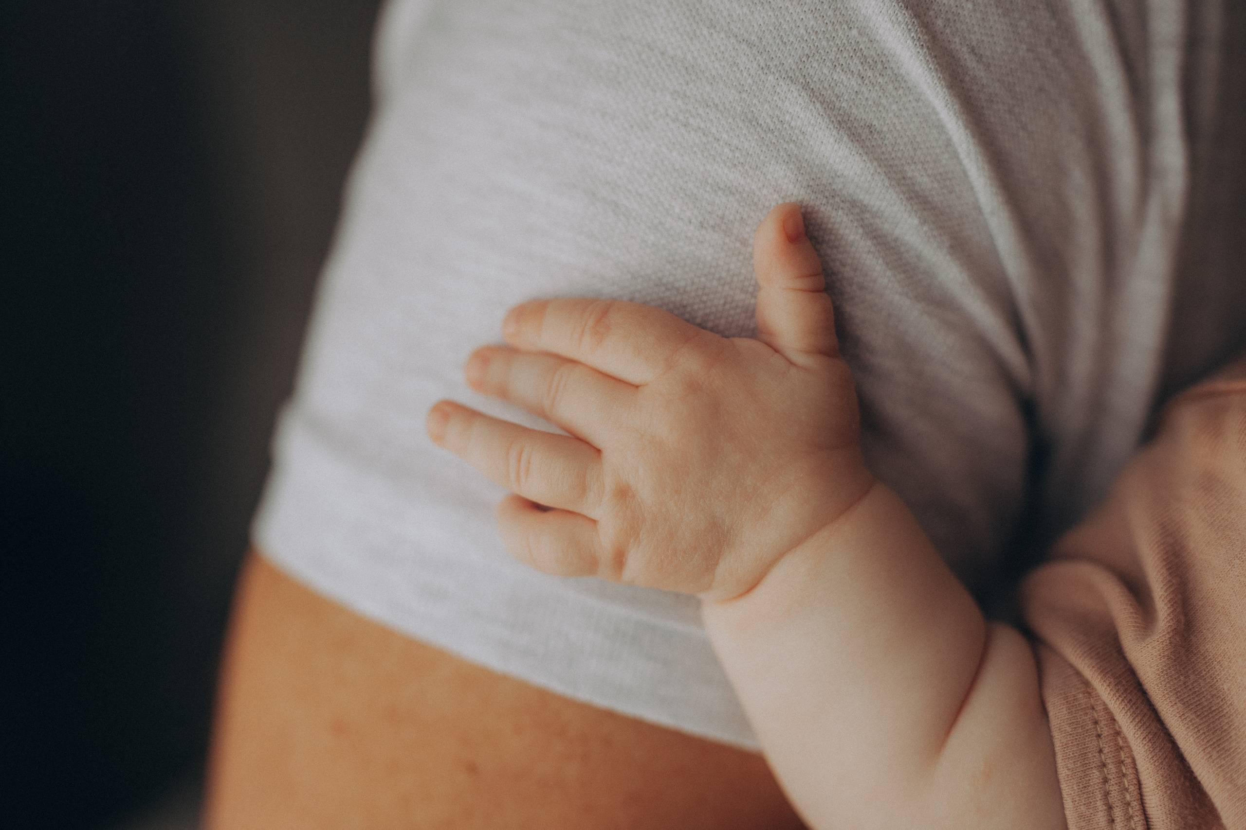 Рождество. Семейный фотограф Обнинск