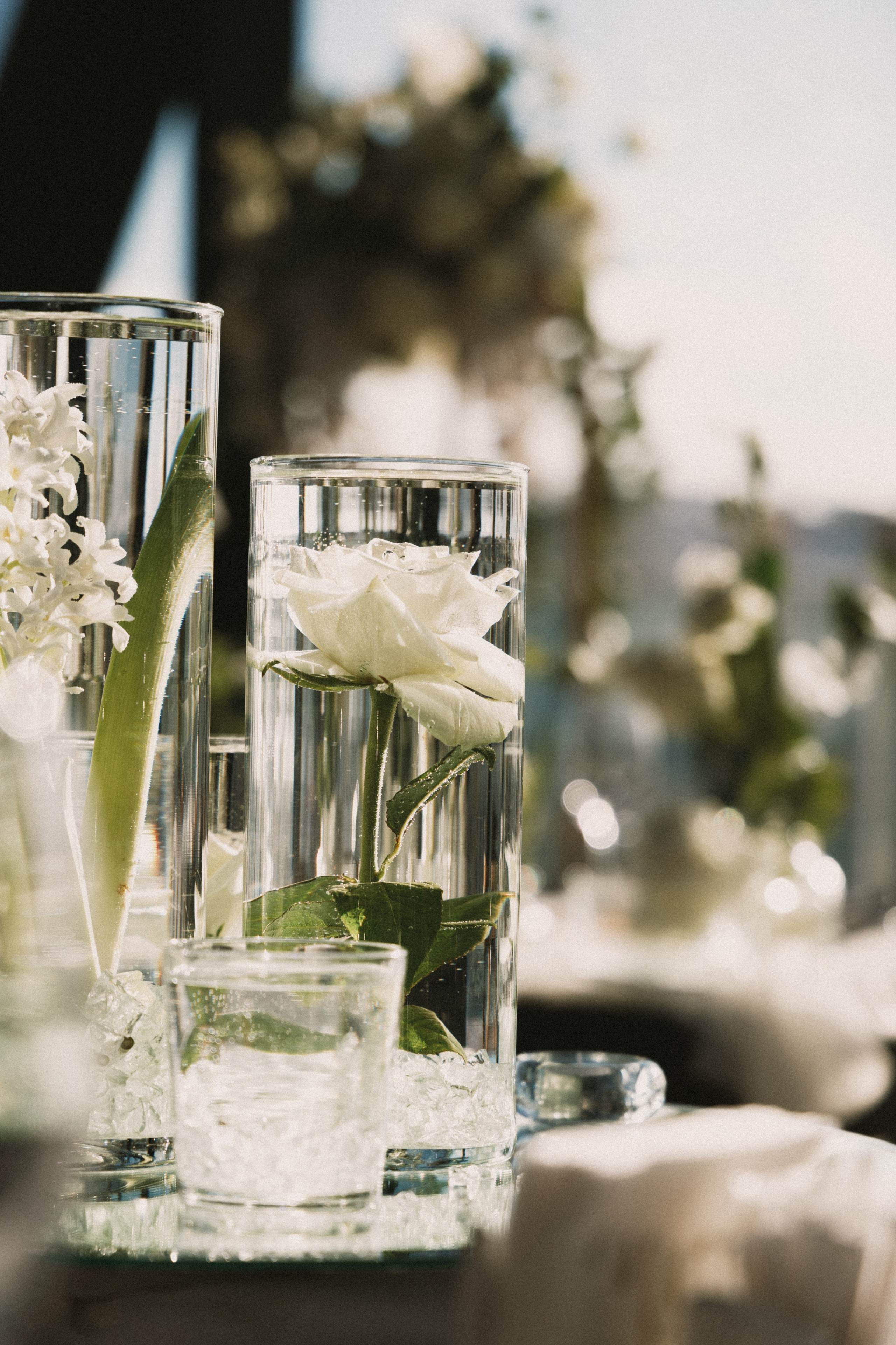 Банкет. Максим Мороз Фотограф в Санкт-Петербурге