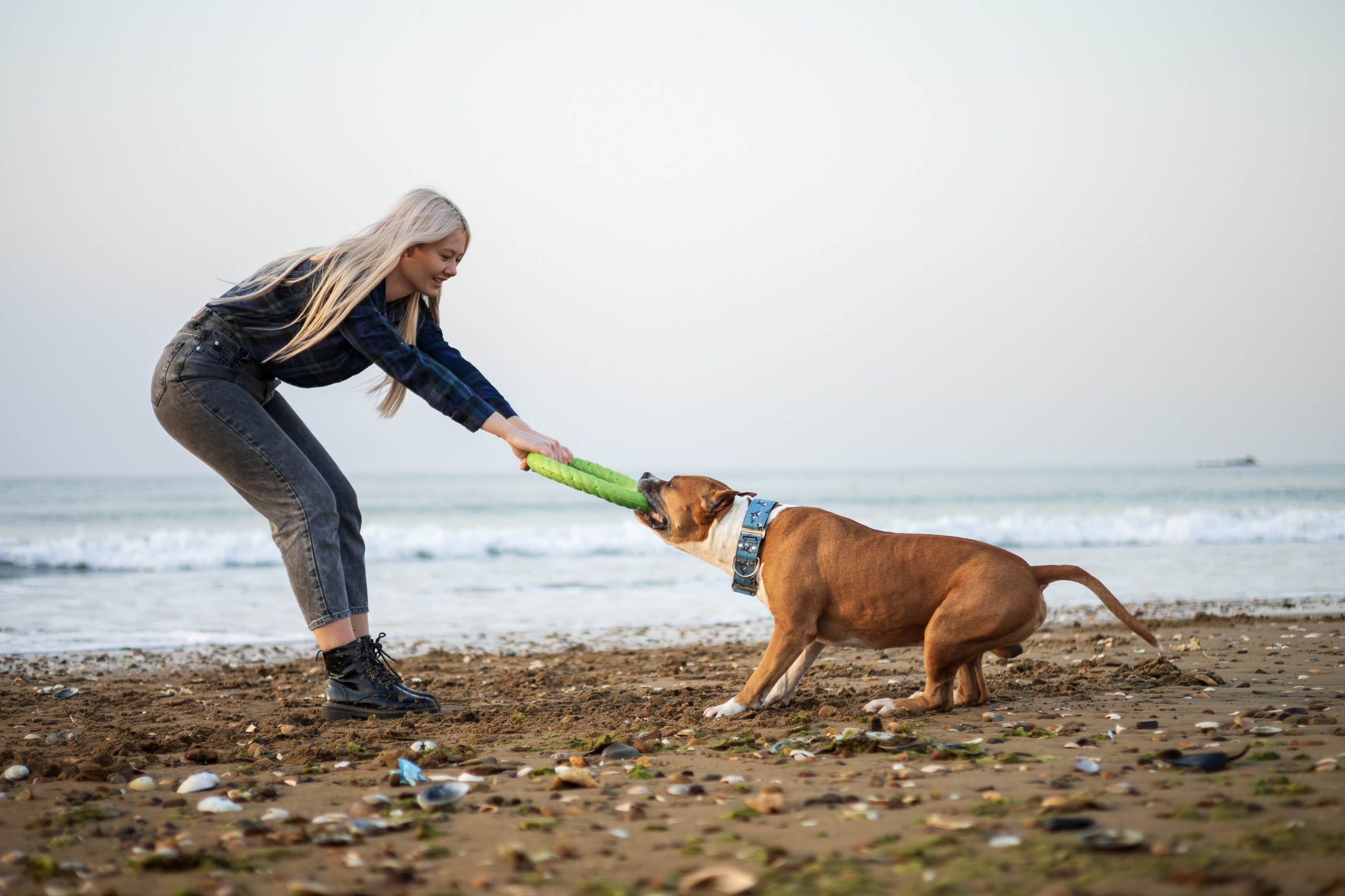 Юля и Харви. Фотограф — анималист Владивосток, Алина