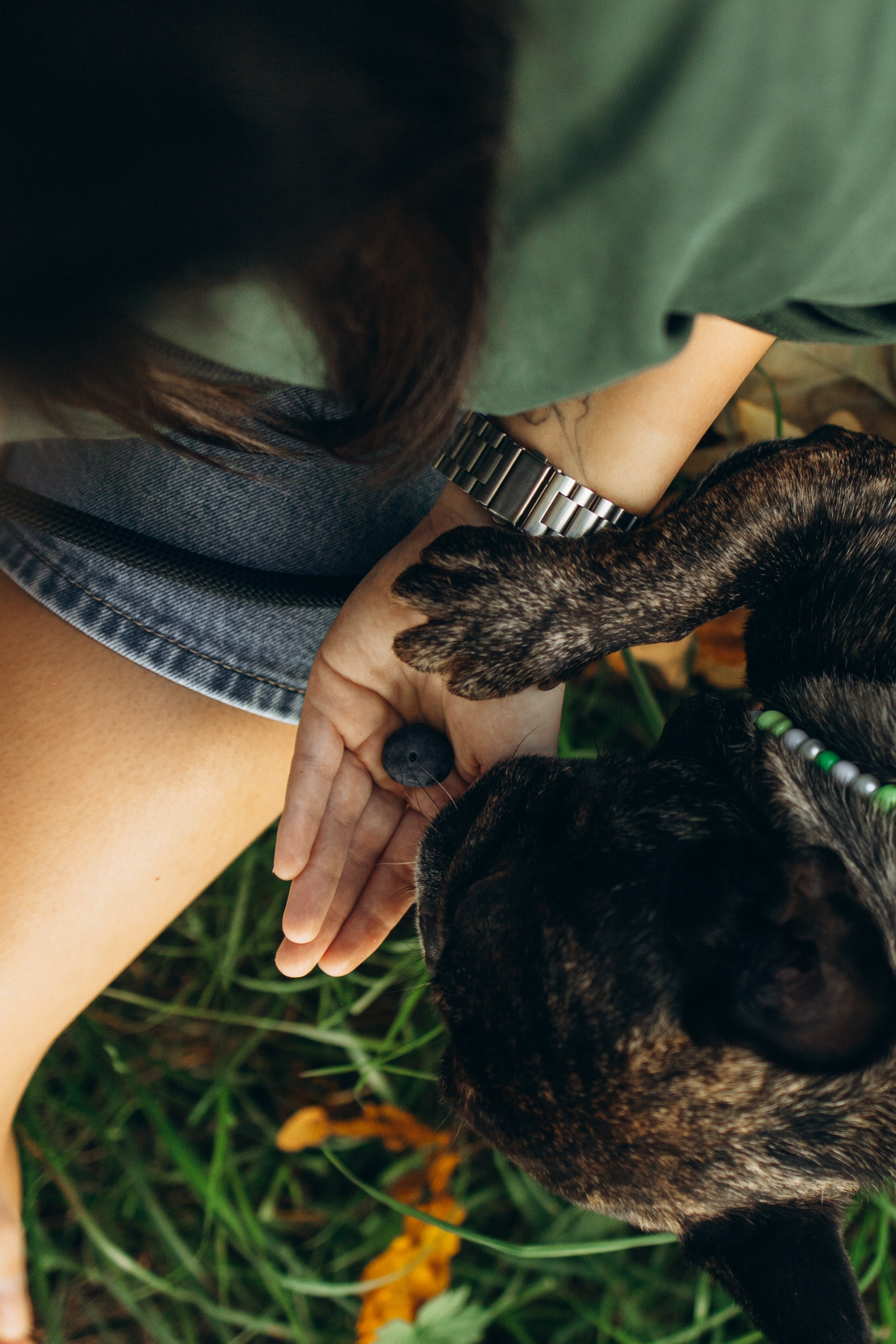Олеся и Луи. Фотограф — Анималист | Санкт-Петербург