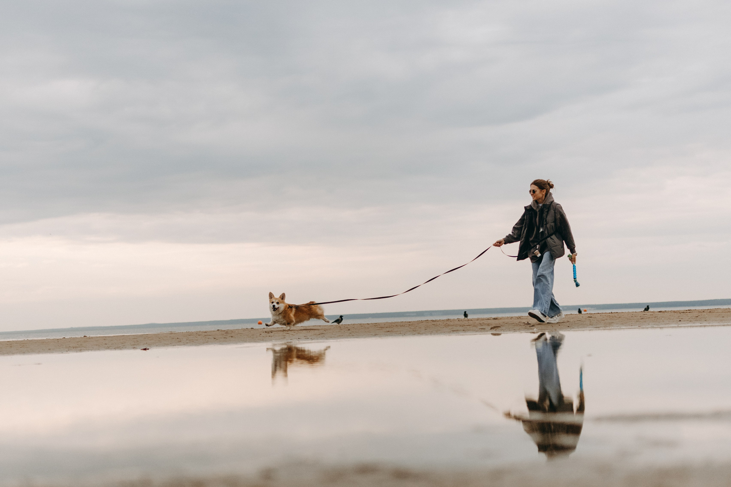 Лиза и Бакс. Фотограф — Анималист | Санкт-Петербург