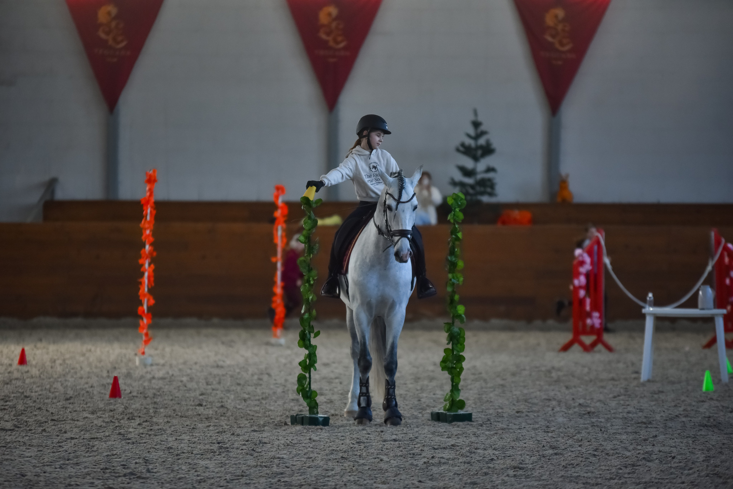Репортажная съемка конных мероприятий. Конный фотограф из Москвы Ирина Бондаркова