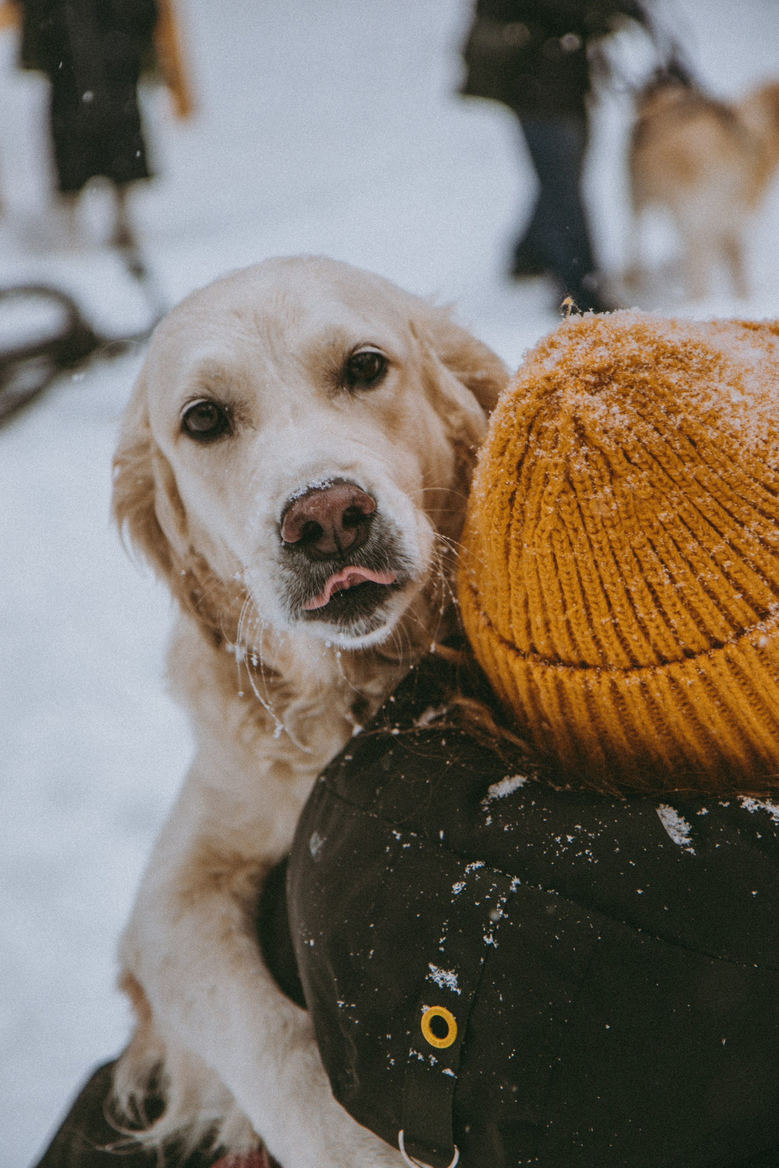 Семейные прогулки. Фотограф в Перми Гиренко Людмила