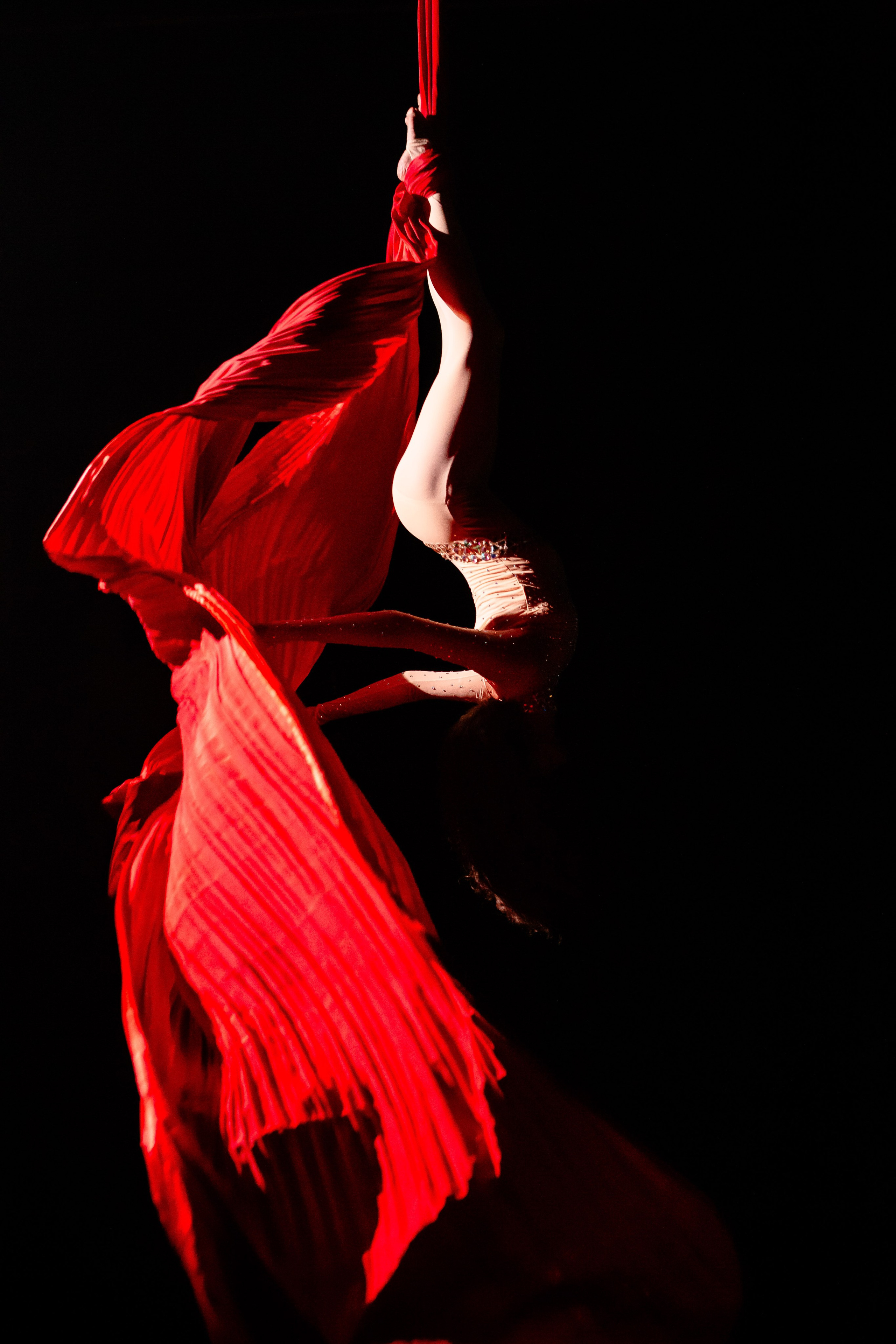 Цирковое шоу. Видеограф Добромыслов