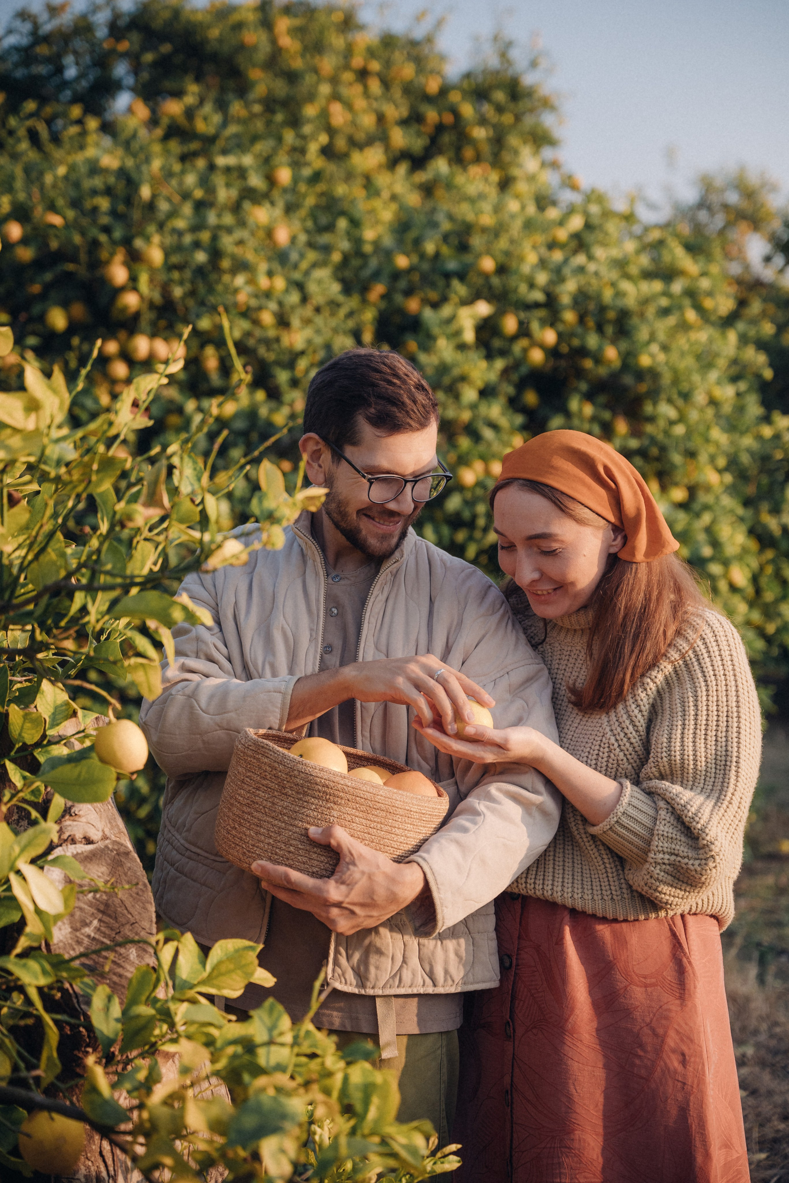 Сбор урожая. Анна Лобанова | фотограф