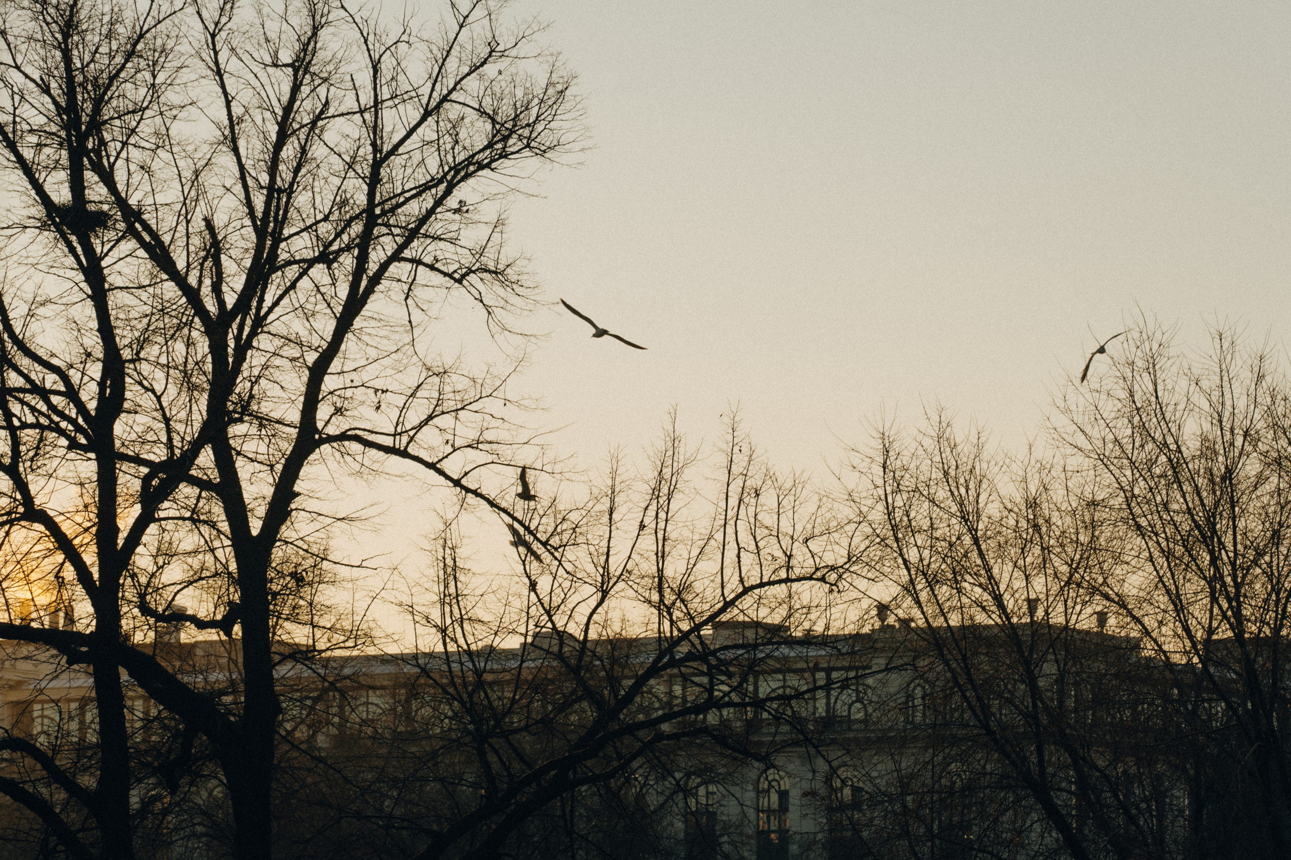 Ника и Мухтар. Свадебный фотограф в Петербурге Перечнева Таша (Таша Вайб)