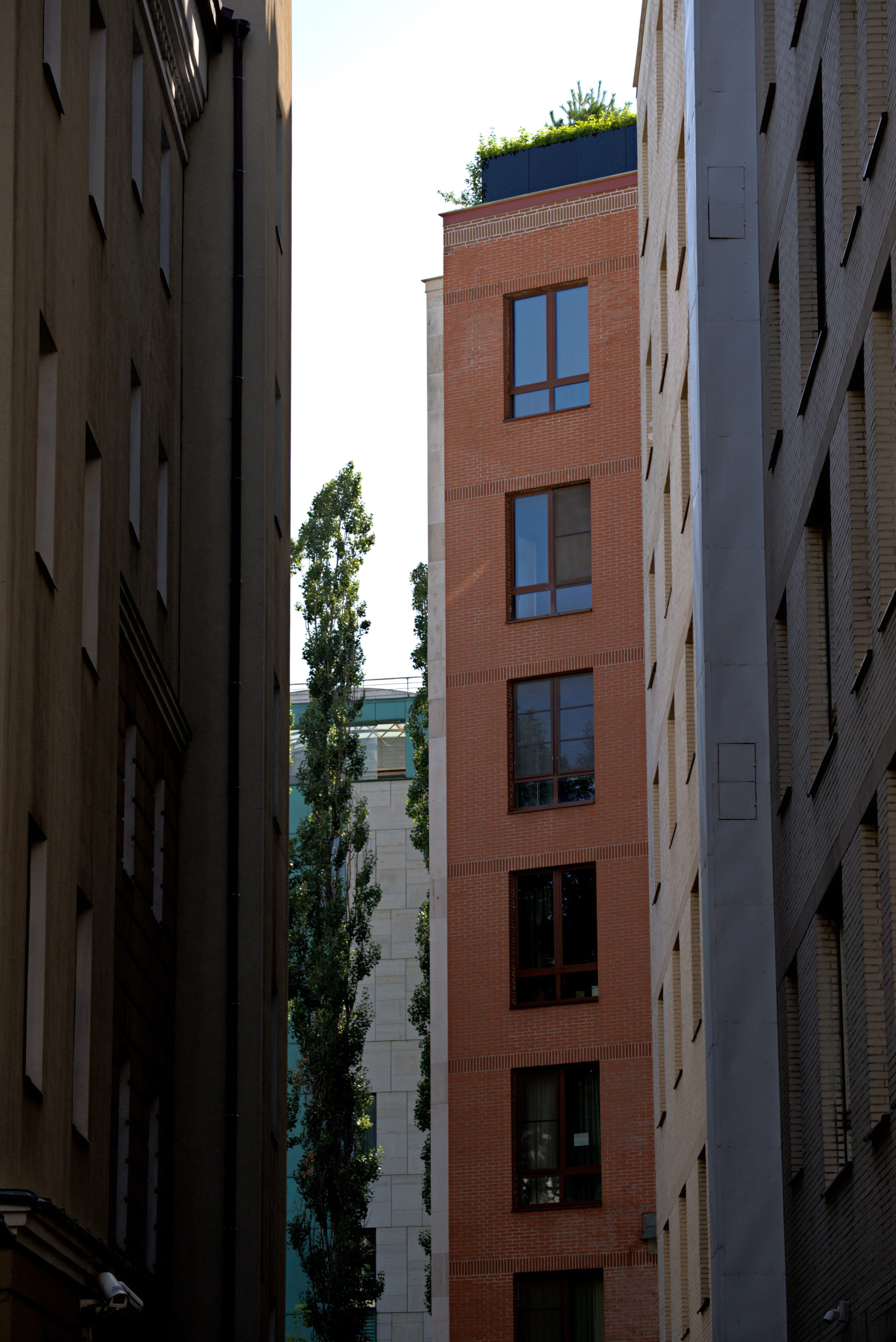 Москва | Лето 2025. GLAR