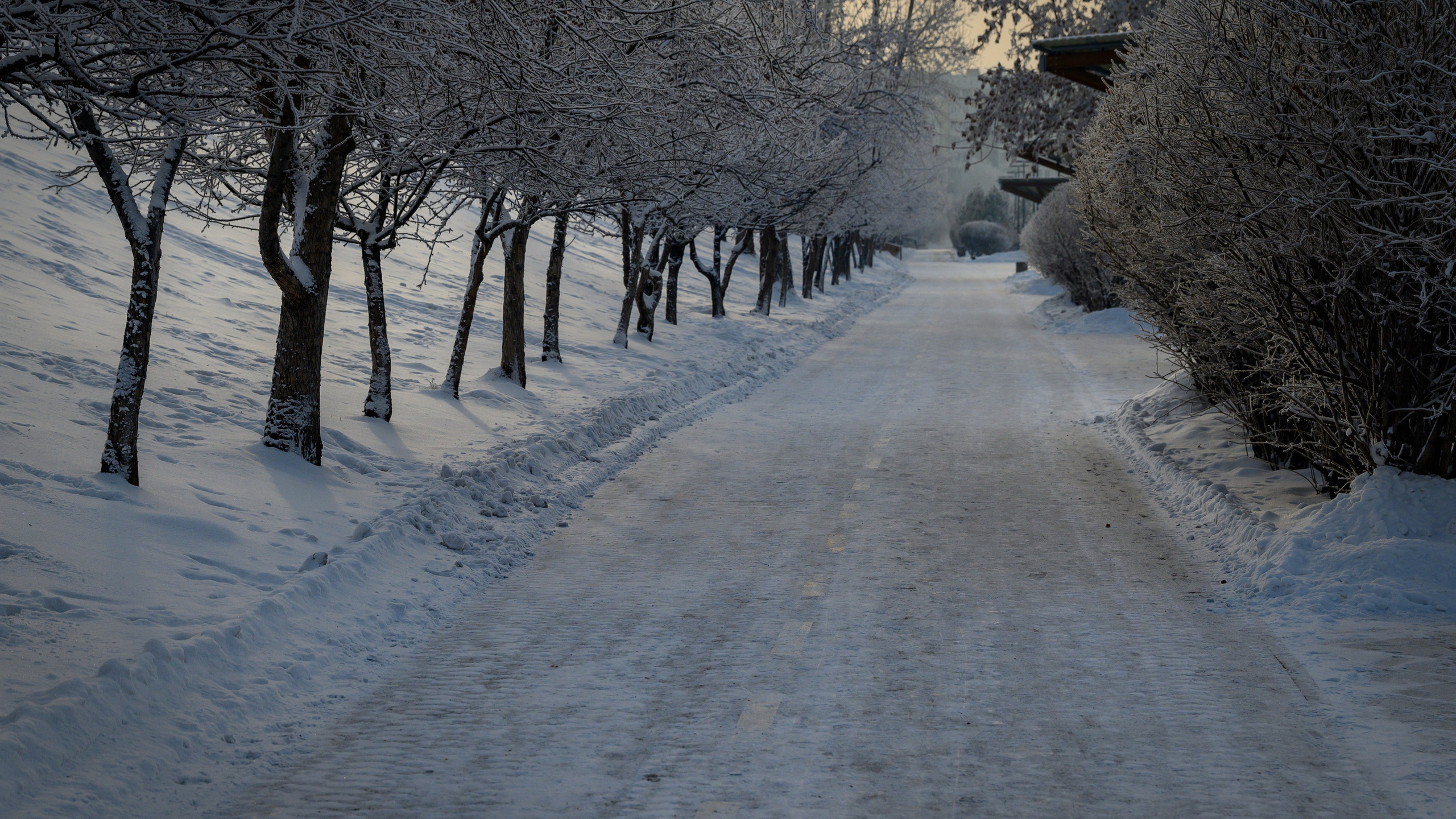 Сибирская зима прекрасна!. FotoGraf