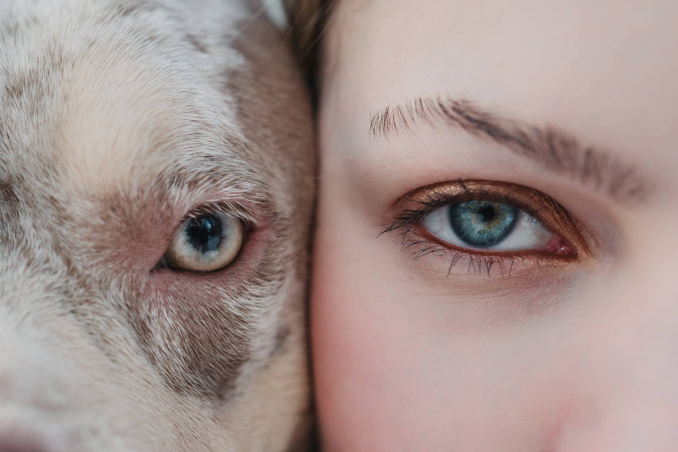 Зимняя LOVE STORY Вики, Артёма и Булочки. Семейный Фотограф в Москве Ирина Хохлова