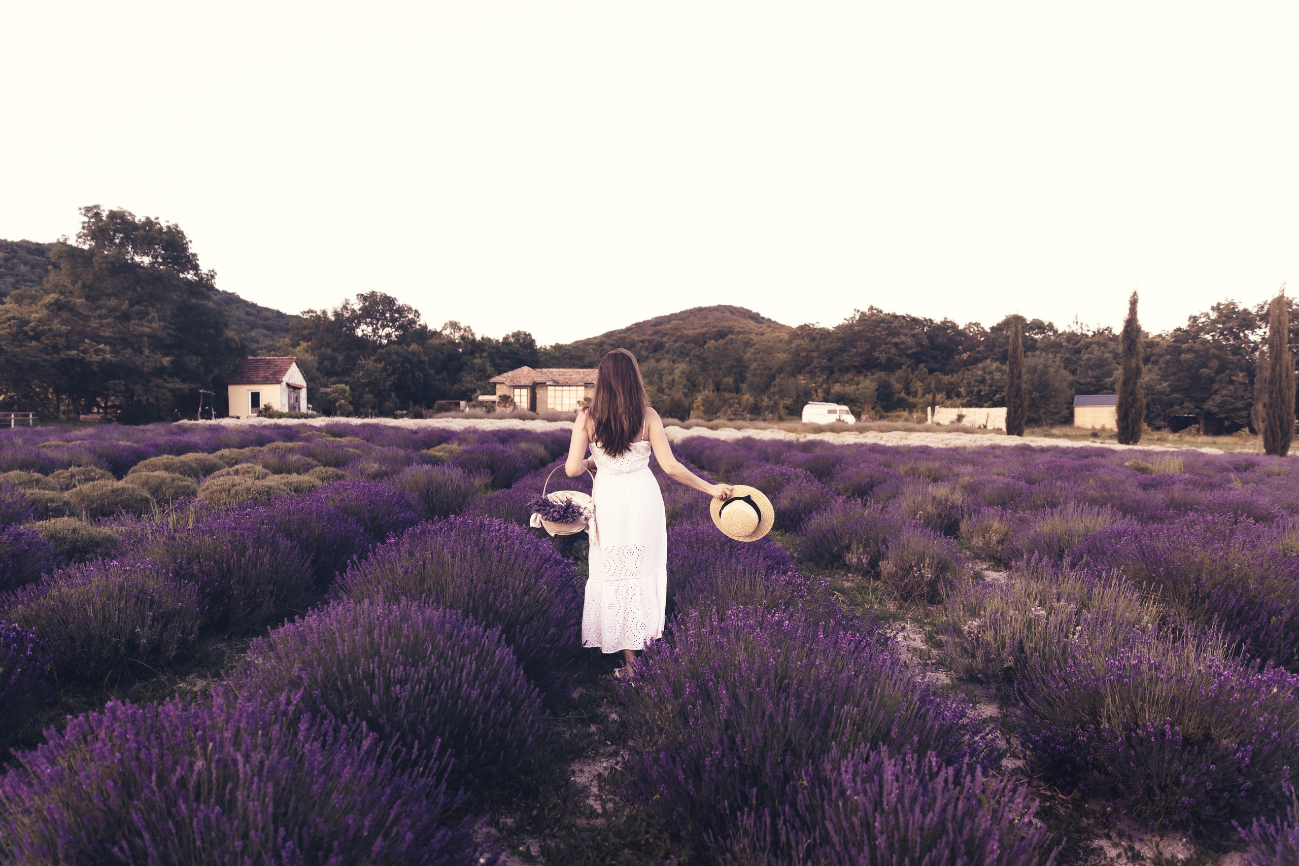Фотосессия в лаванде Геленджик. Свадебный фотограф в Геленджике Мария Четверикова