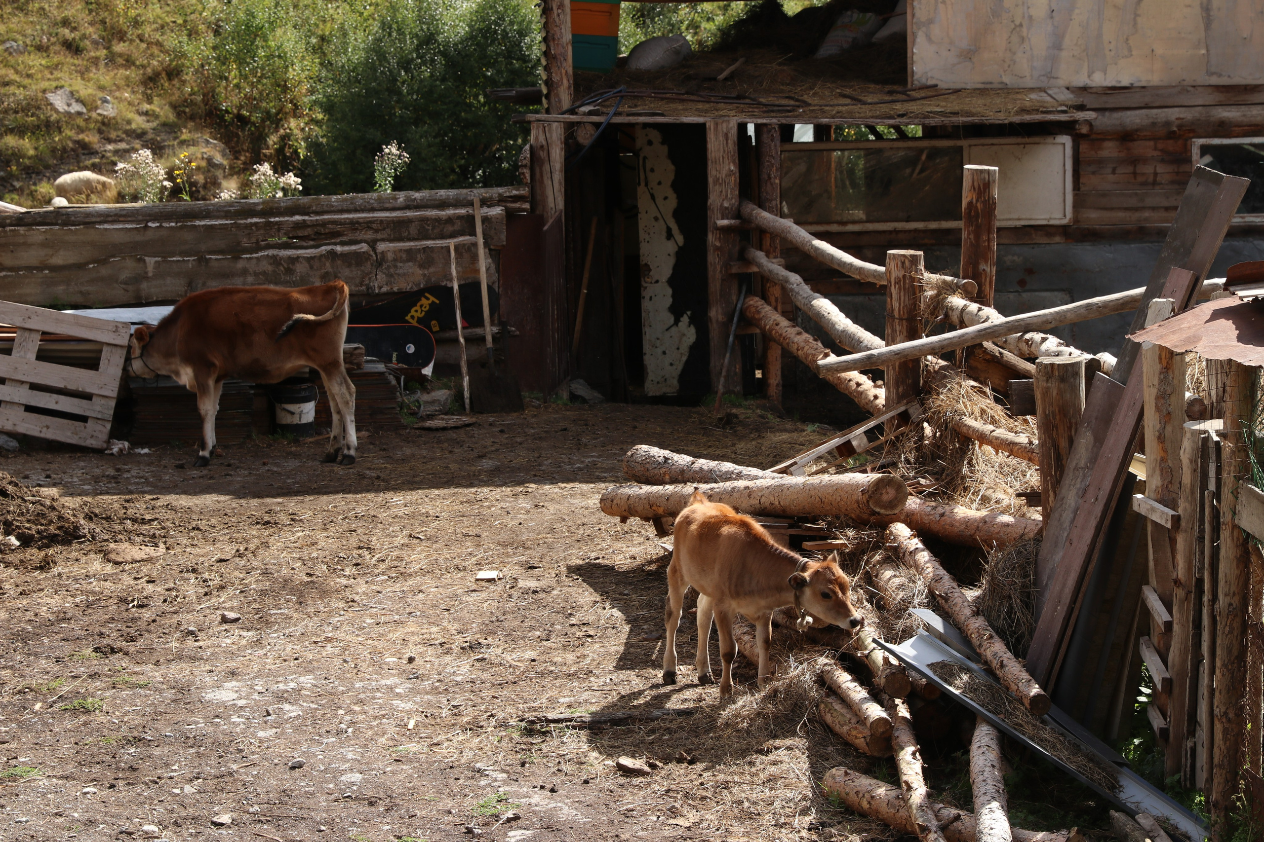 Приэльбрусье. Сентябрь 2023. Путешественник-фотограф из Санкт-Петербурга Татьяна Свистулина