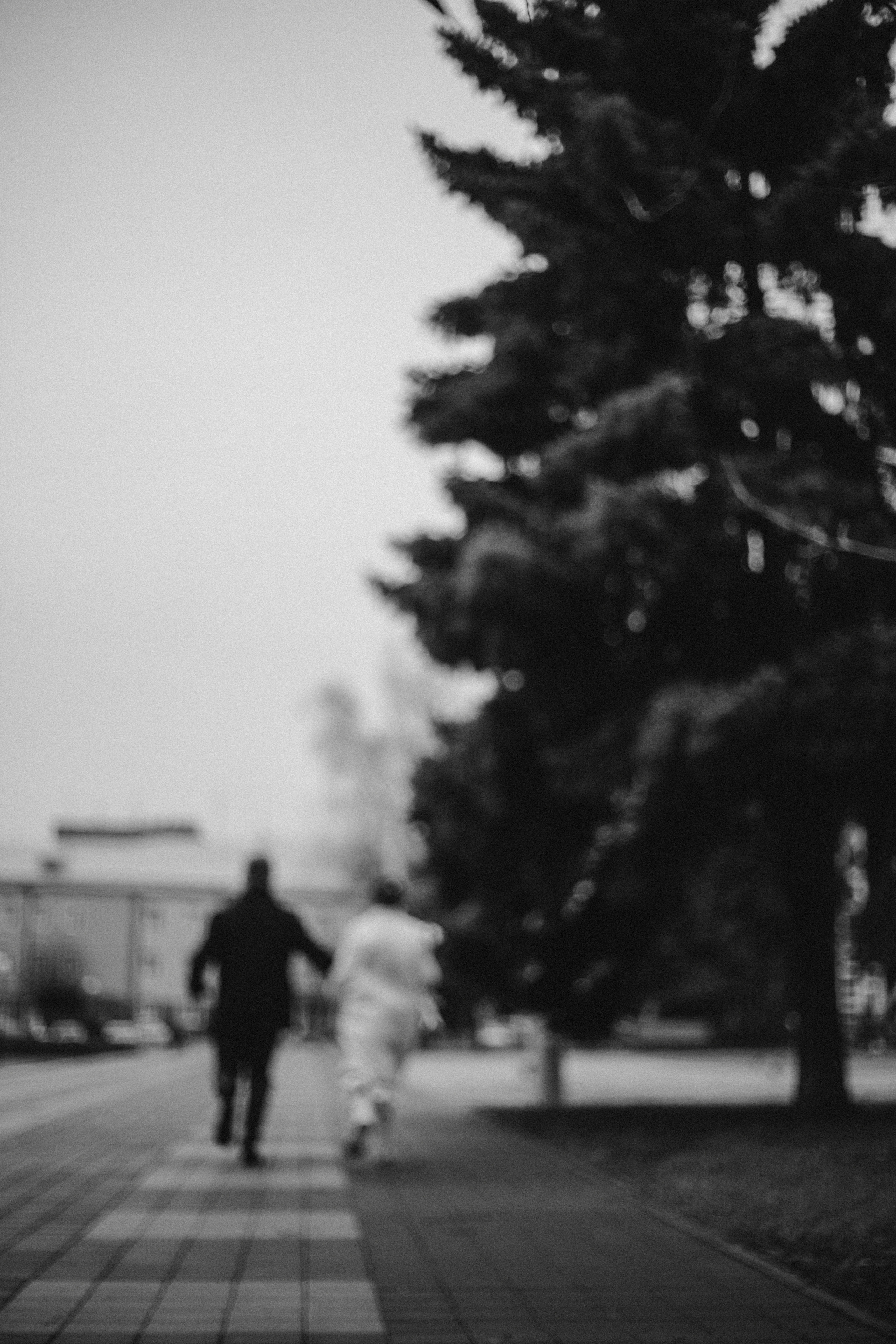 До самого неба. Фотограф Валуйки, Белгородская область. Коробова Юля