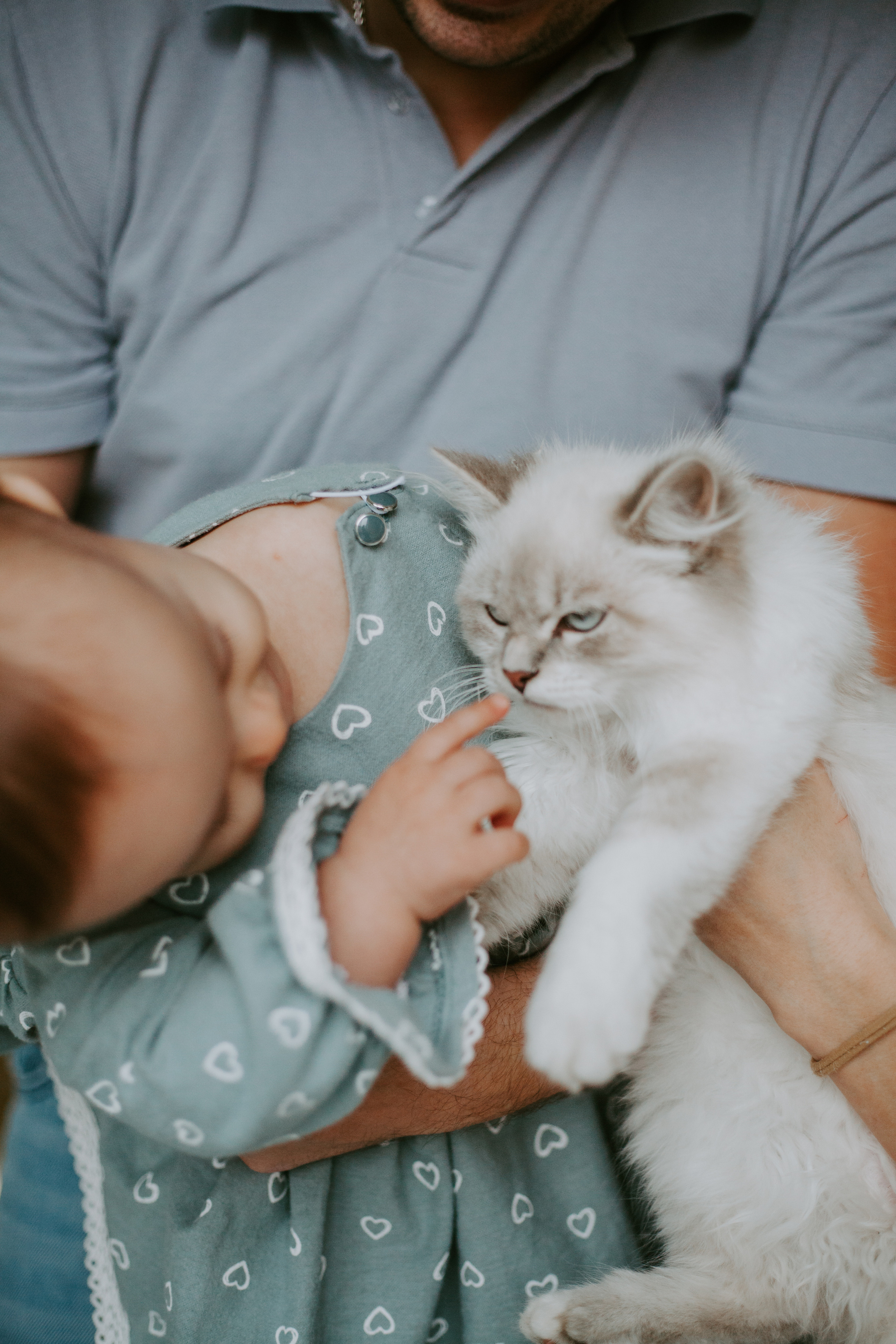 Мне бы крылья, чтоб укрыть тебя. Фотограф Валуйки, Белгородская область. Коробова Юля