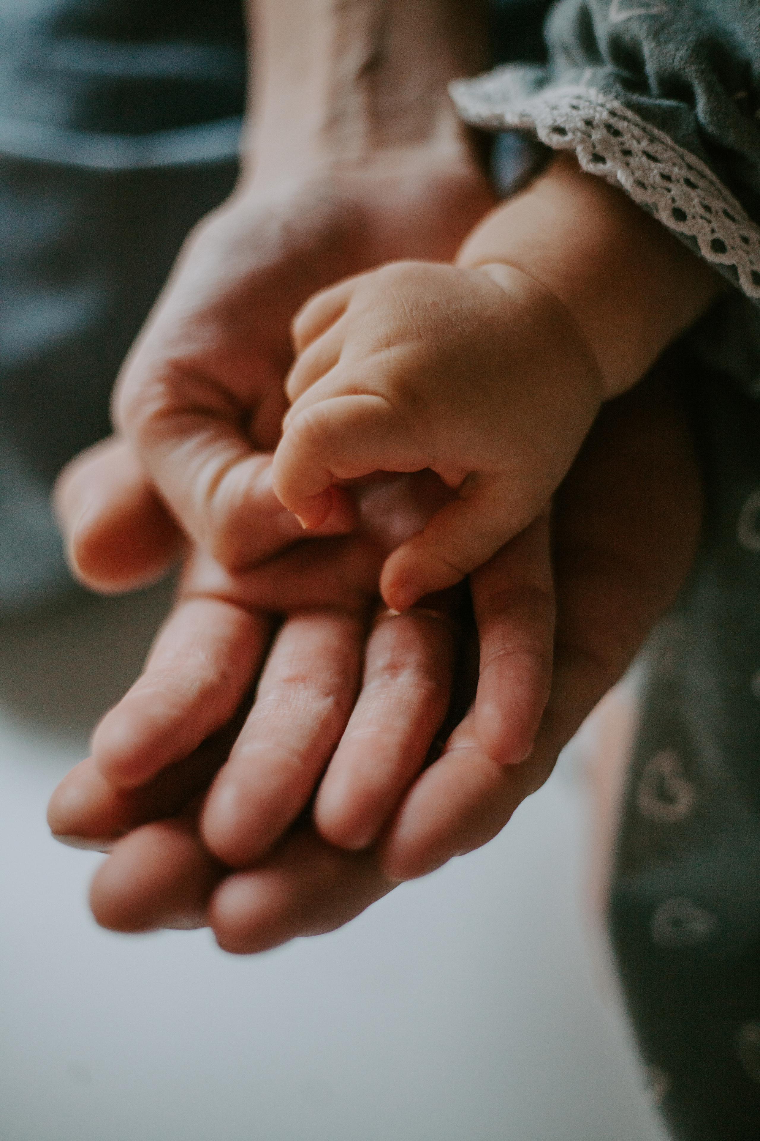 Мне бы крылья, чтоб укрыть тебя. Фотограф Валуйки, Белгородская область. Коробова Юля