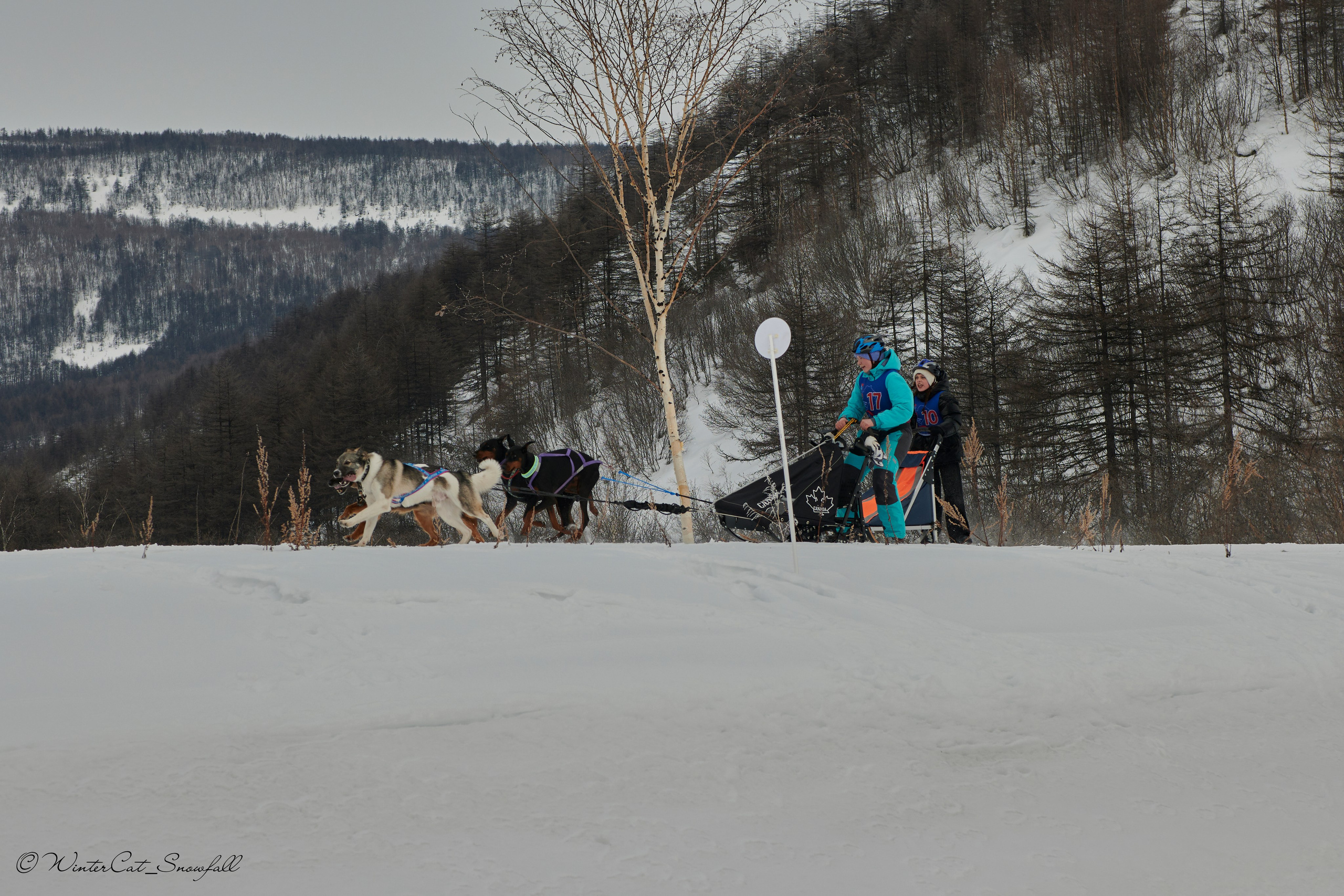 Дзяблу 30.03. Портретный и репортажный фотограф в Магадане Андрей Нефедов WinterCatPhoto