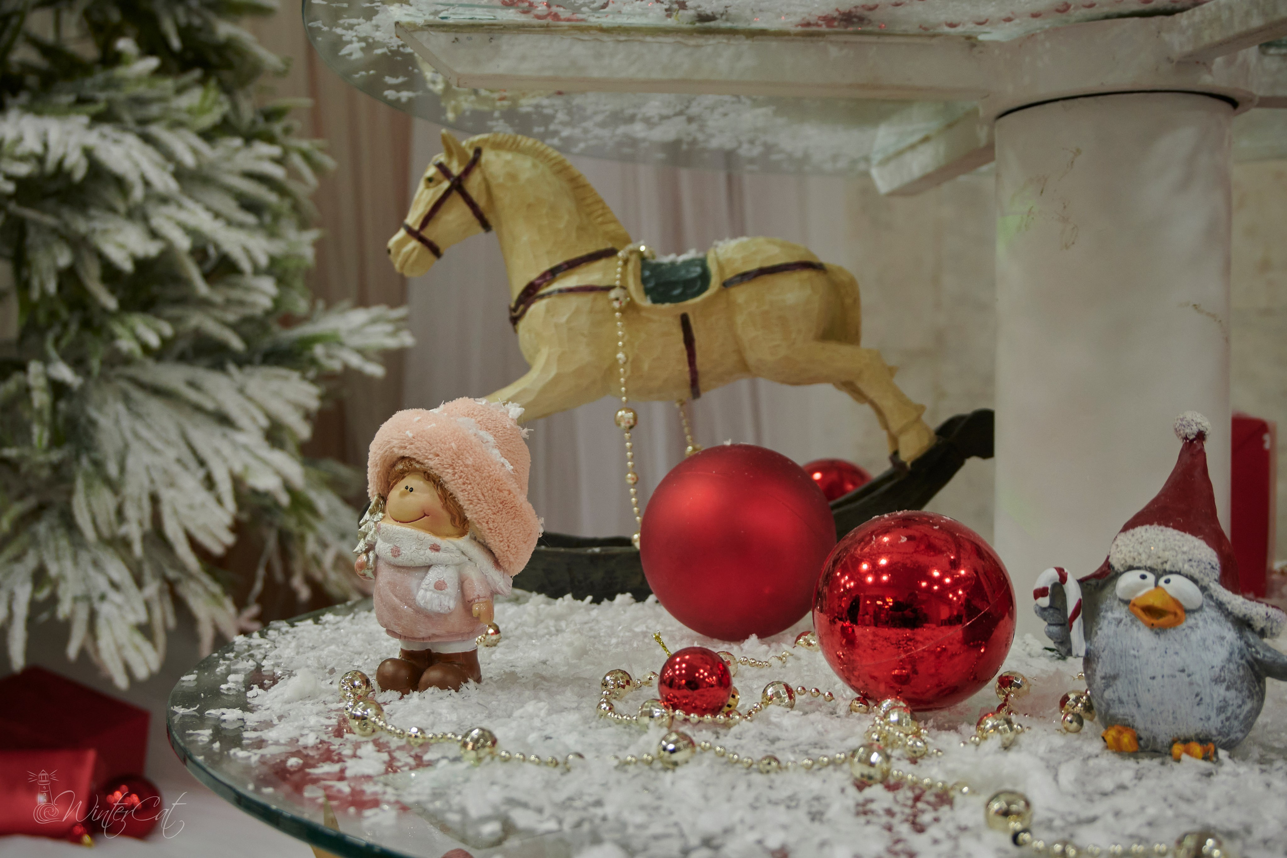 Ярмарка 5 2024. Портретный и репортажный фотограф в Магадане Андрей Нефедов WinterCatPhoto