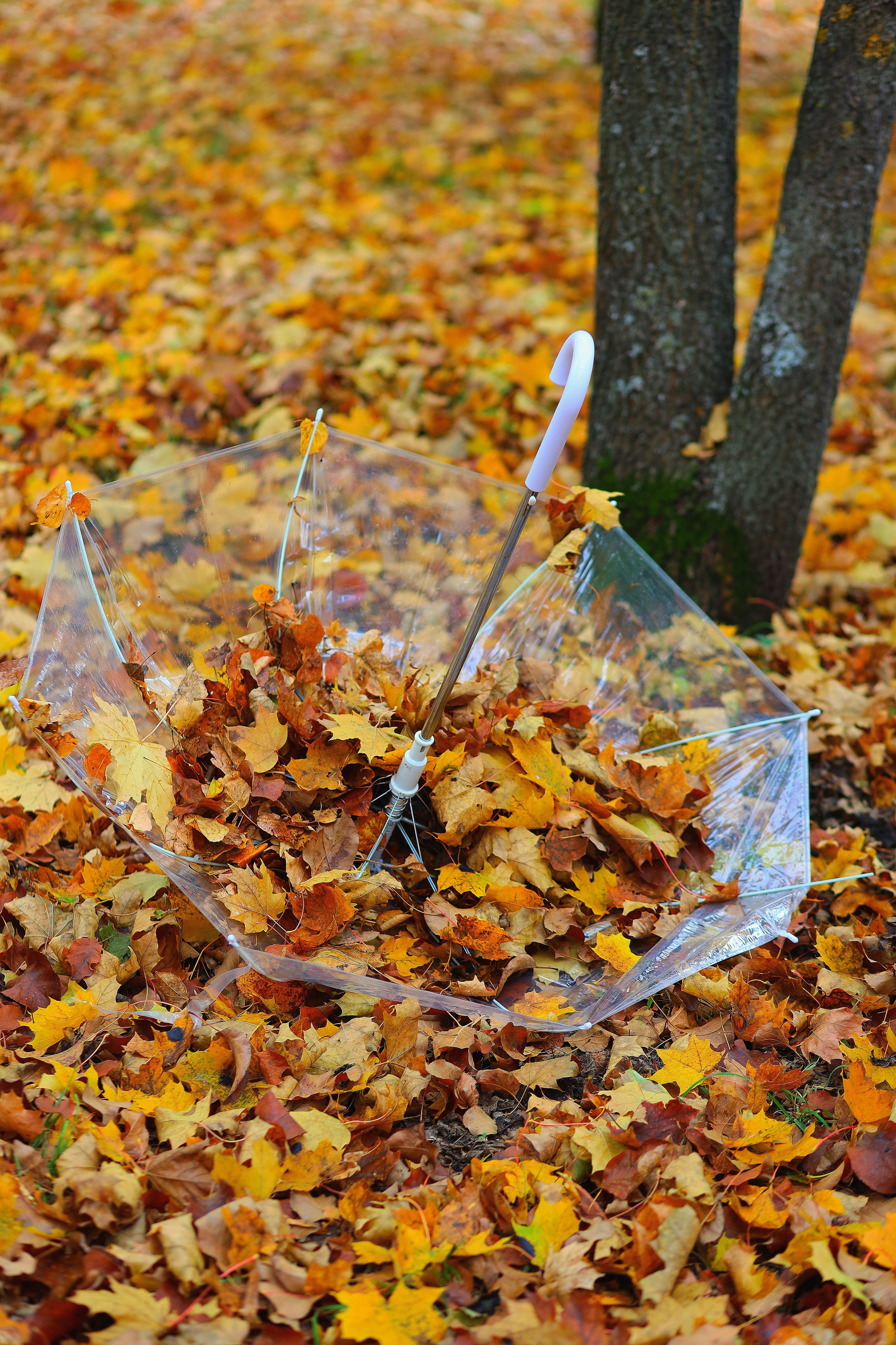 Анастасия и Вероника. Портретный фотограф Москва Виктория Гранд