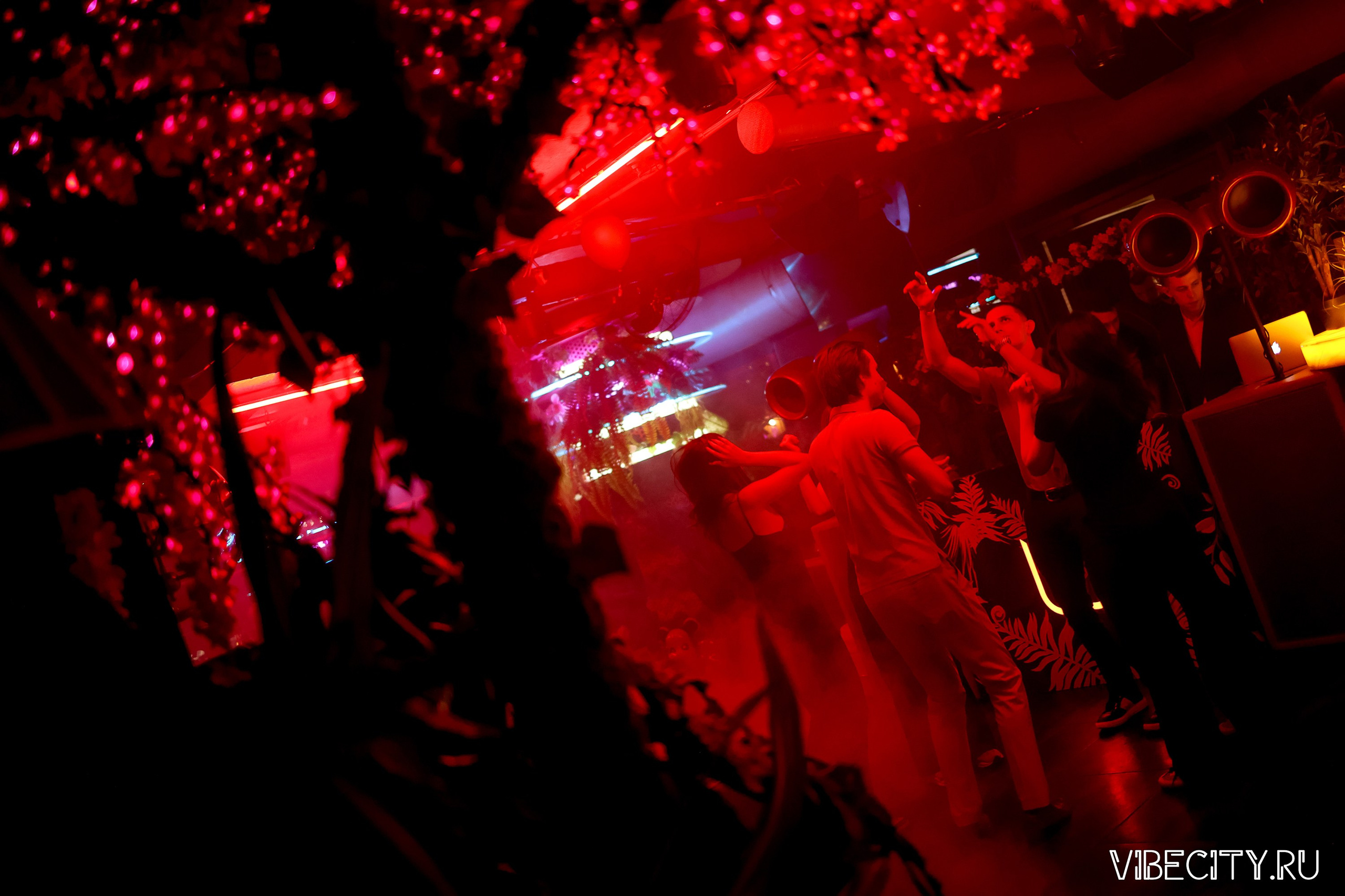 DOUBLE U. VIBECITY.RU Вайб Сити Ру Фоторепортажи Фотоотчеты Калининград