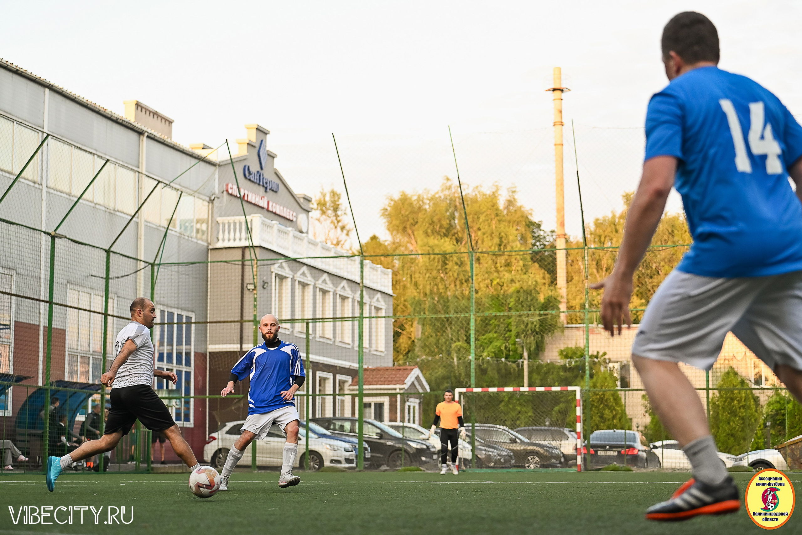 ИГРЫ ПЛЕЙ-ОФФ ПЕРВОГО ДИВИЗИОНА МИНИ-ФУТБОЛЬНОЙ ЛИГИ. VIBECITY.RU Вайб Сити Ру Фоторепортажи Фотоотчеты Калининград