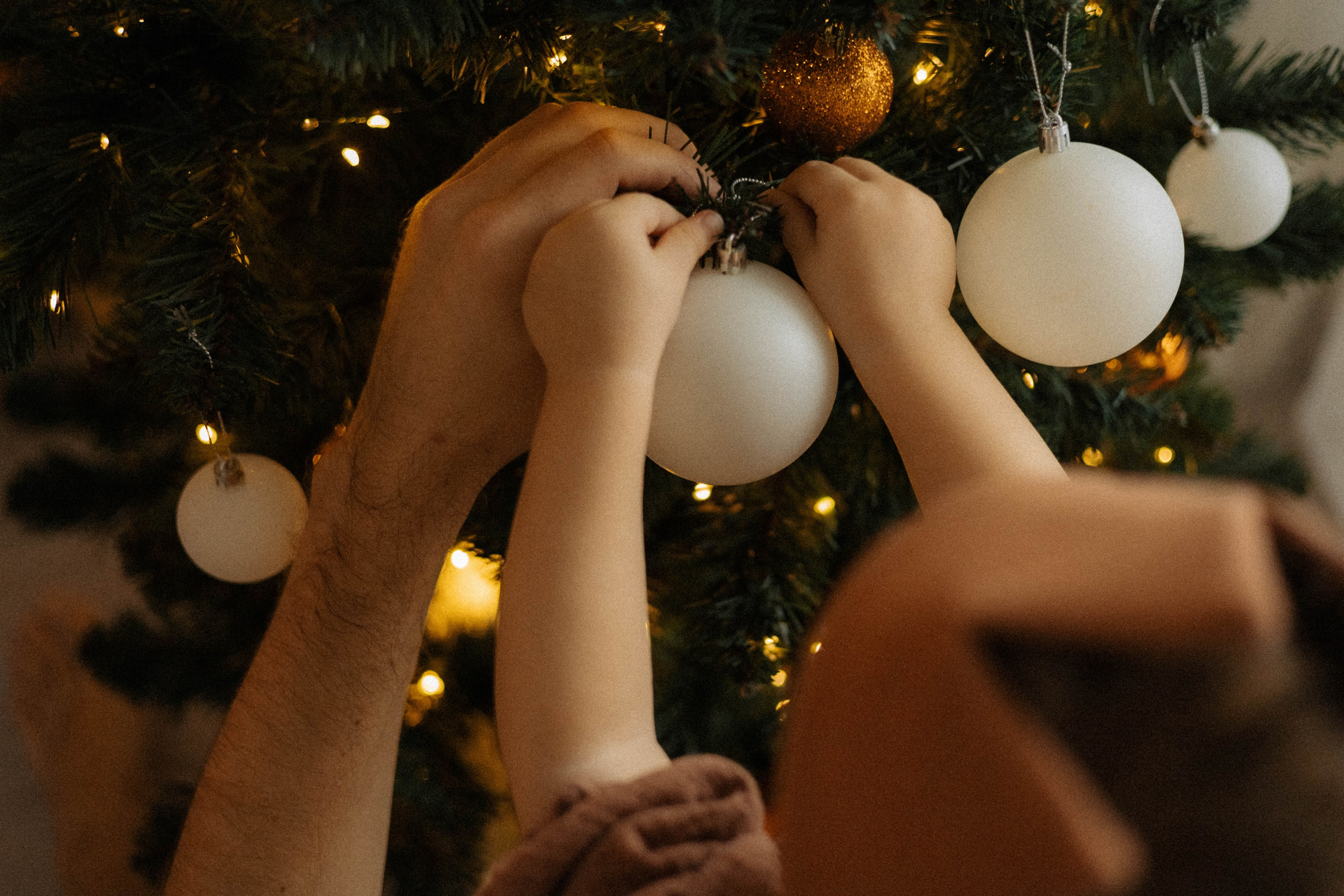 Евгений и Мия. Семейный фотограф в Ижевске Даша Денисова