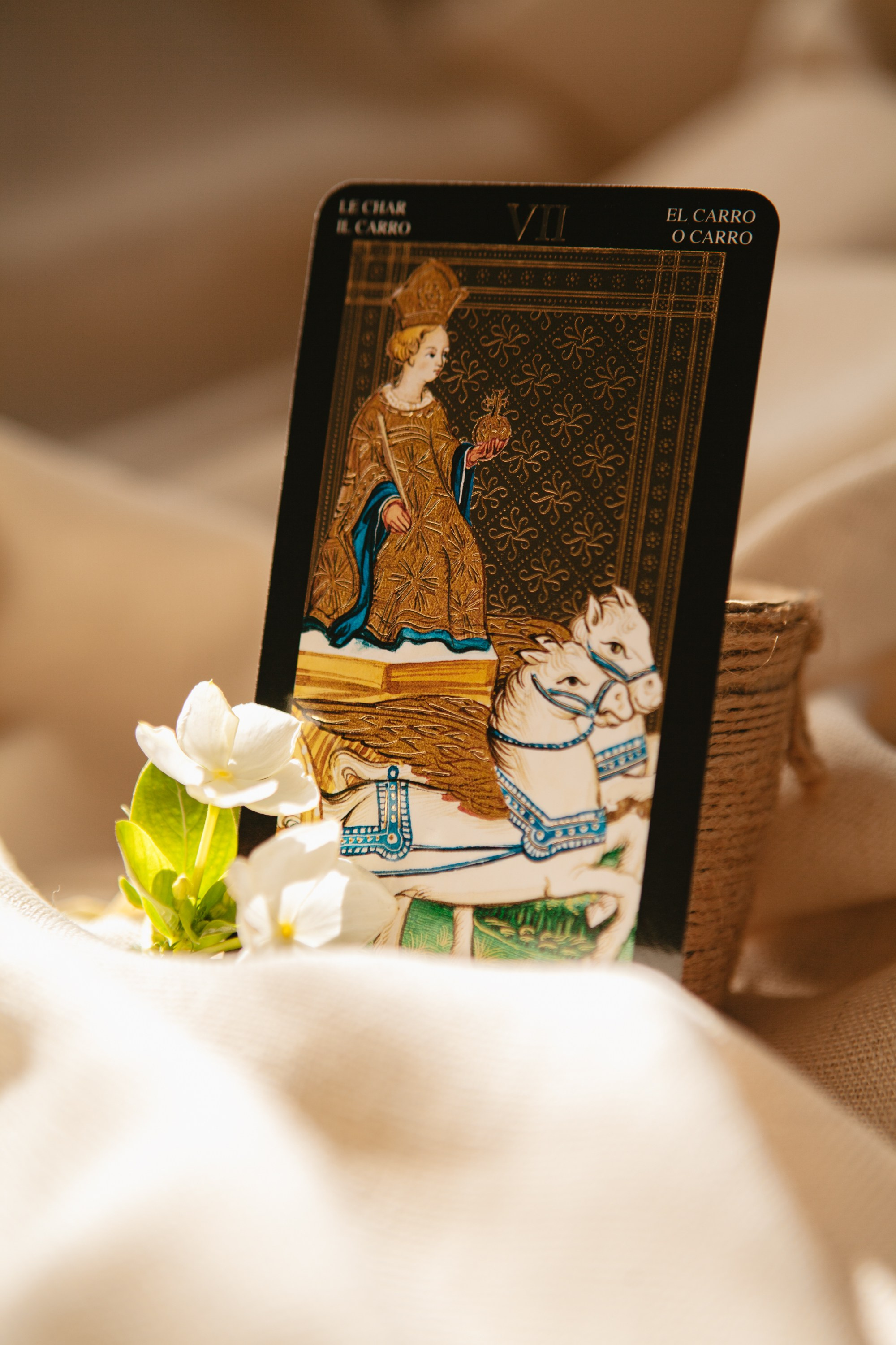 Таро. Виолетта Скрипка