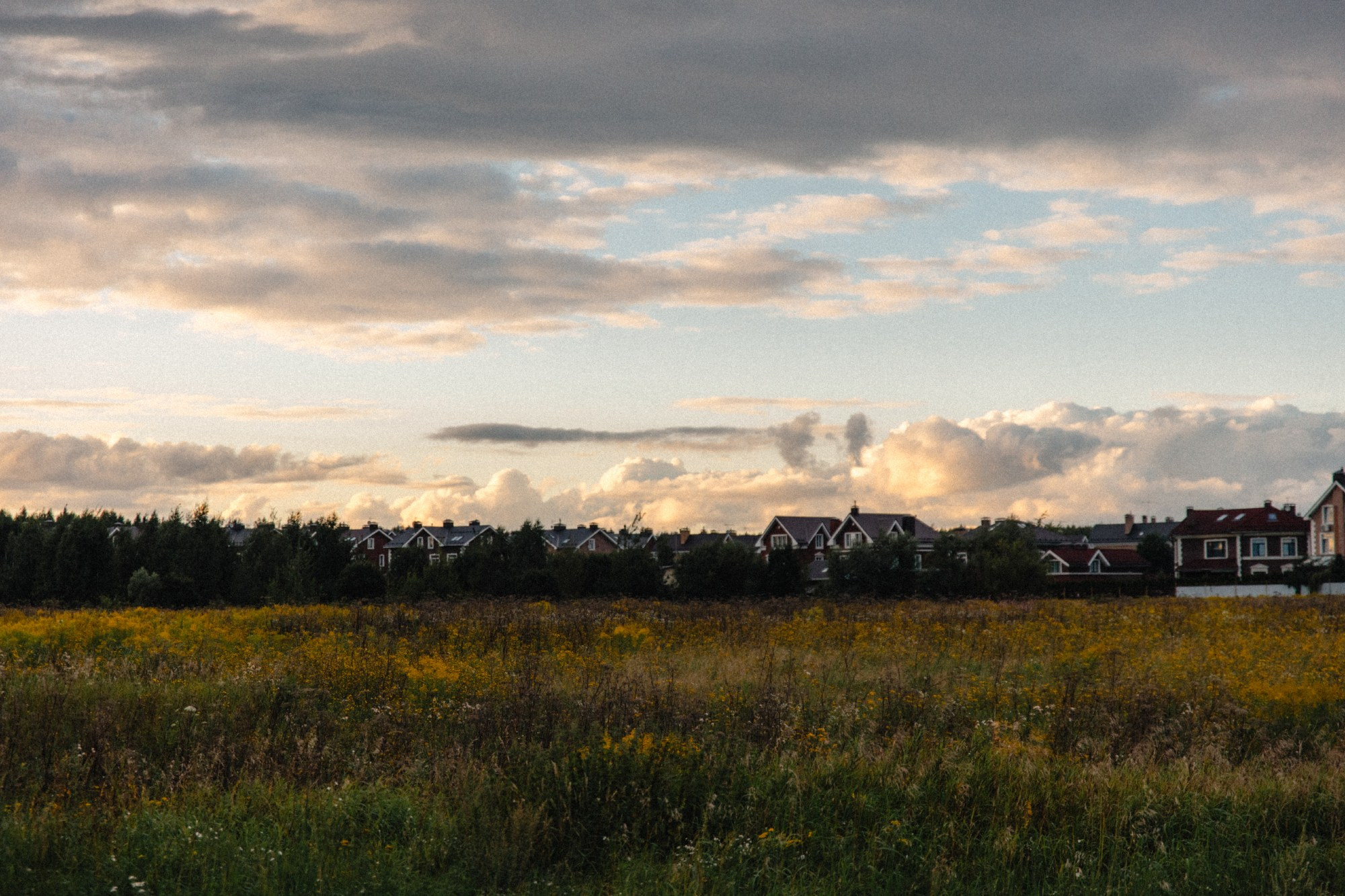 Французско-русское кино. Арина, Чарльз, Адель и Мия. Семейный фотограф в Москве Саша Герасименко