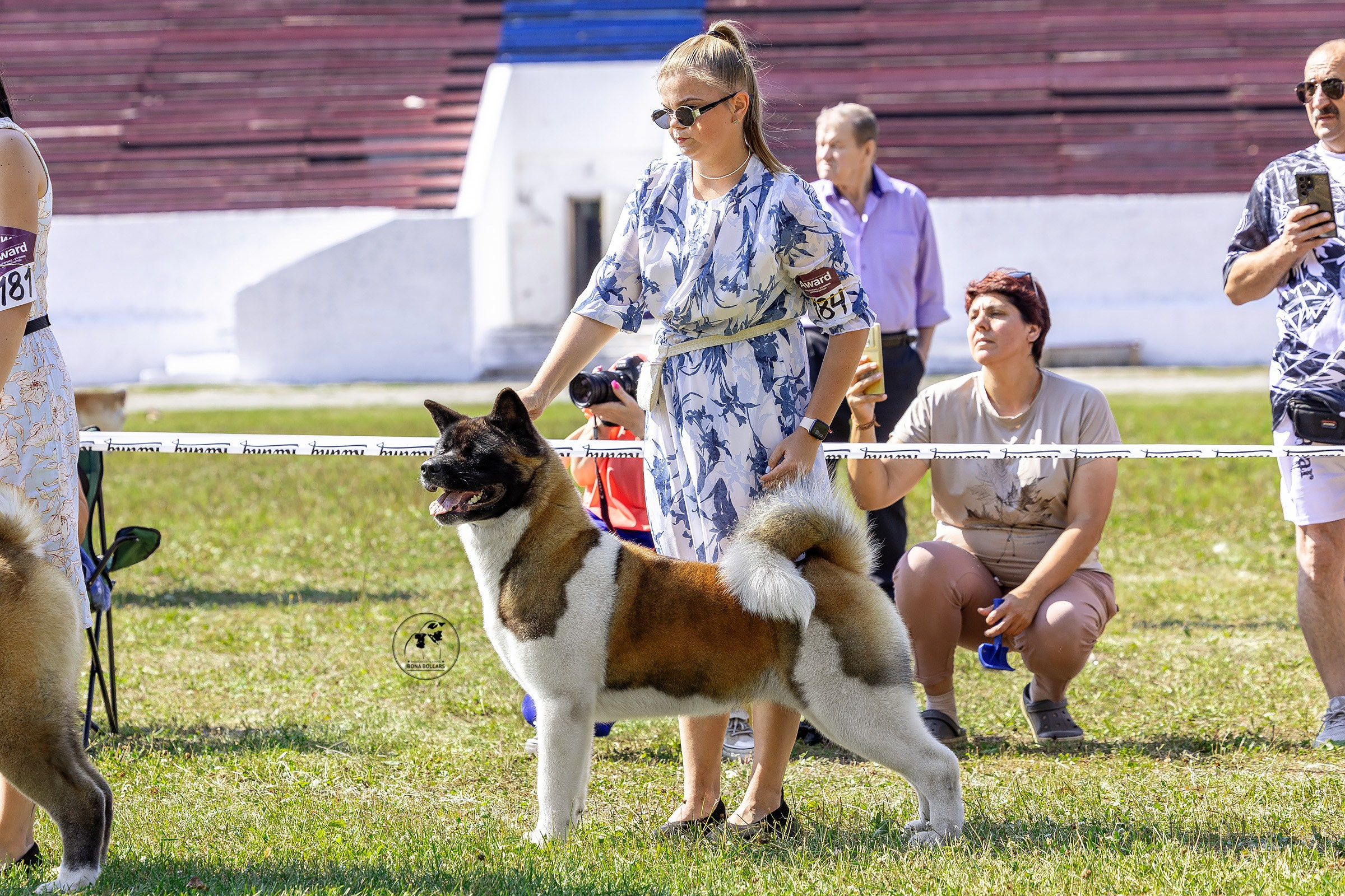 2–3 августа 2025, Выставка РКФ, г. Пермь. Htykk_photo