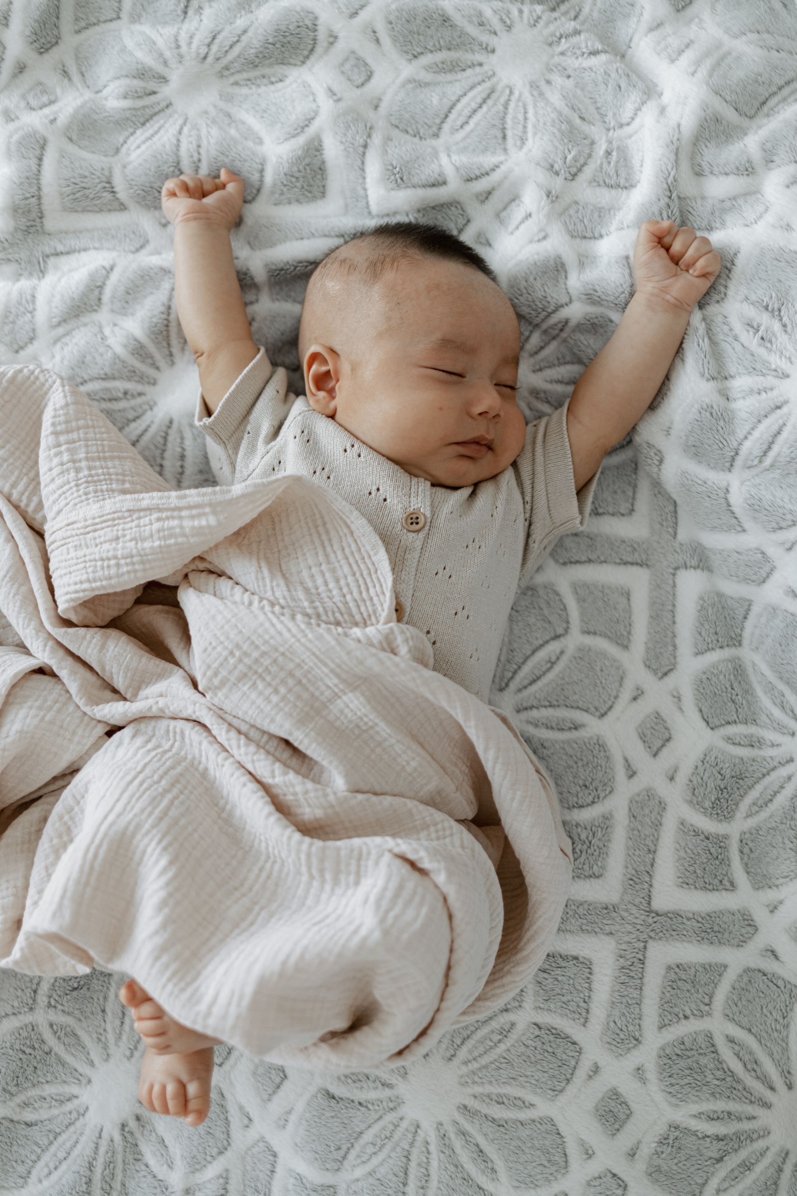 Домашние. Фотограф Москва