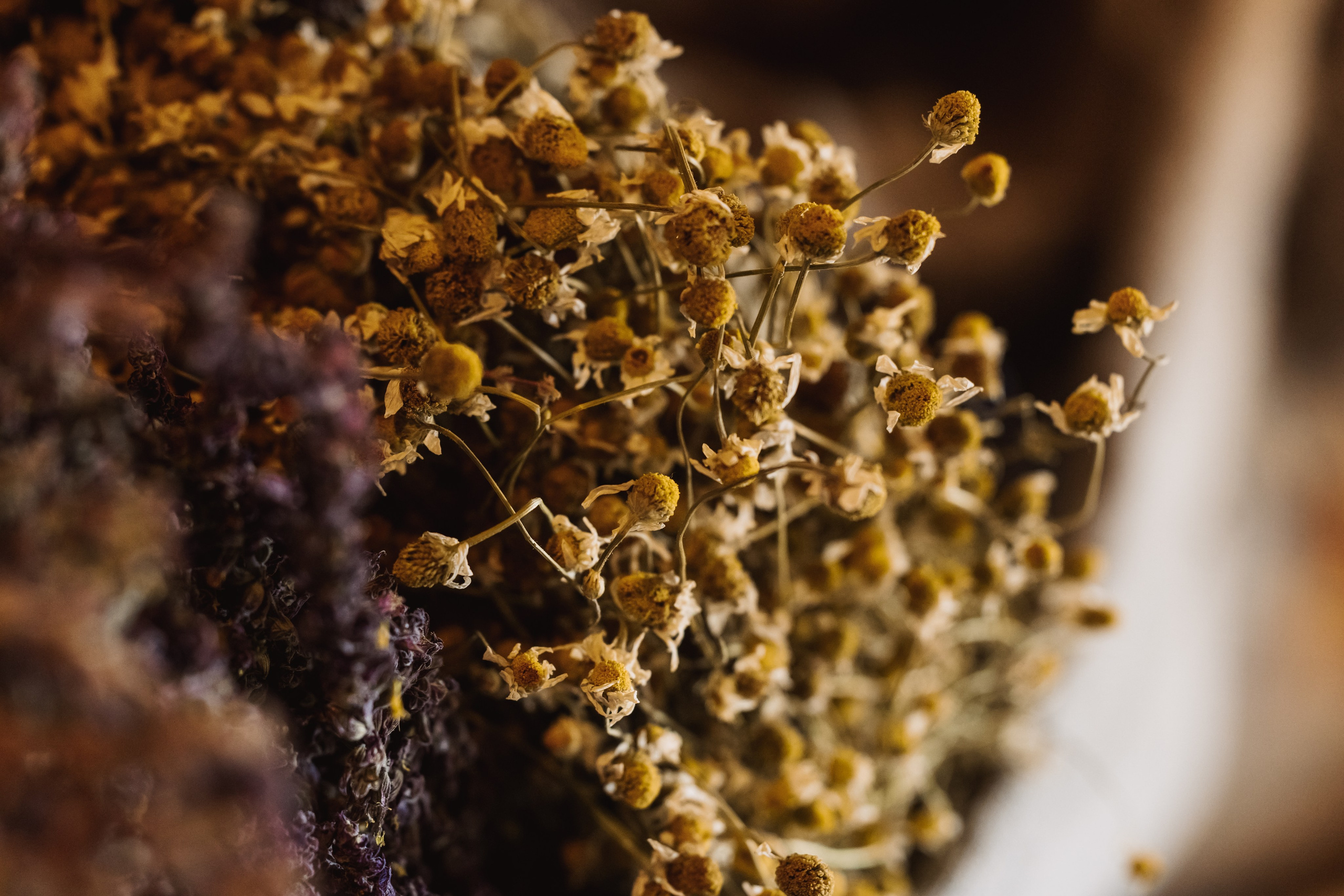 KUKSA|ТО, ЧТО ТЕБЯ СОГРЕВАЕТ|Кело-баня на дровах, г. Коломна. ФОТОГРАФ ИРИНА ШАМАТАВА